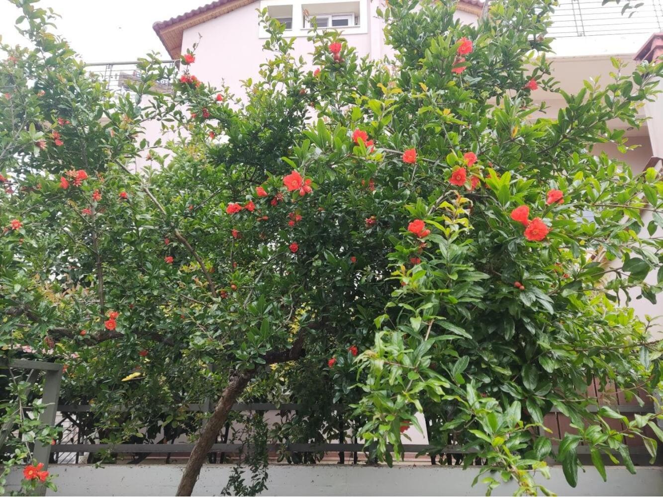 Wine Reflections Apartment near Nafplio - main view