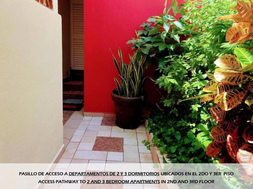 Apartamentos Magali