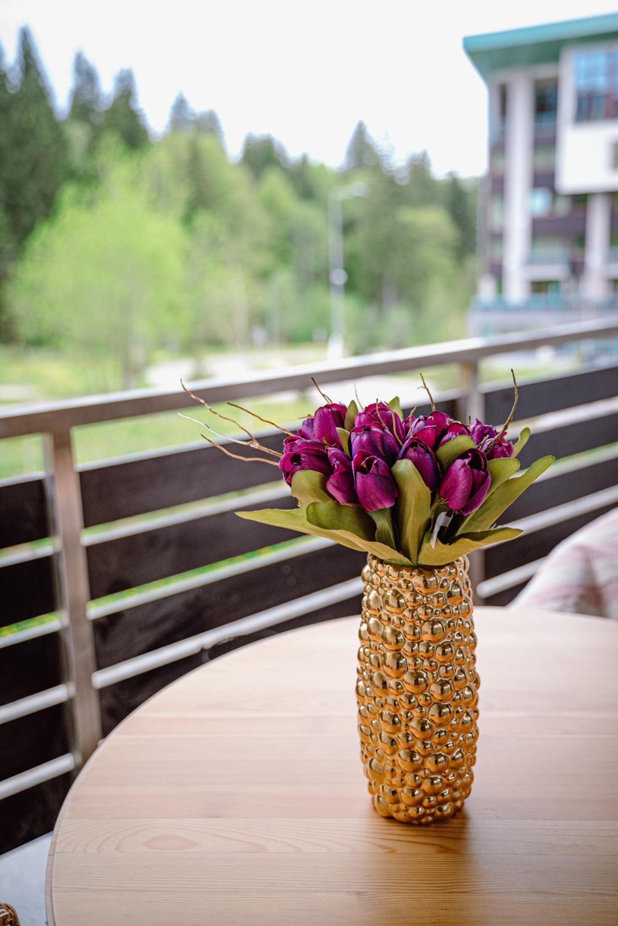 Silver Mountain Resort & Spa, photo 58