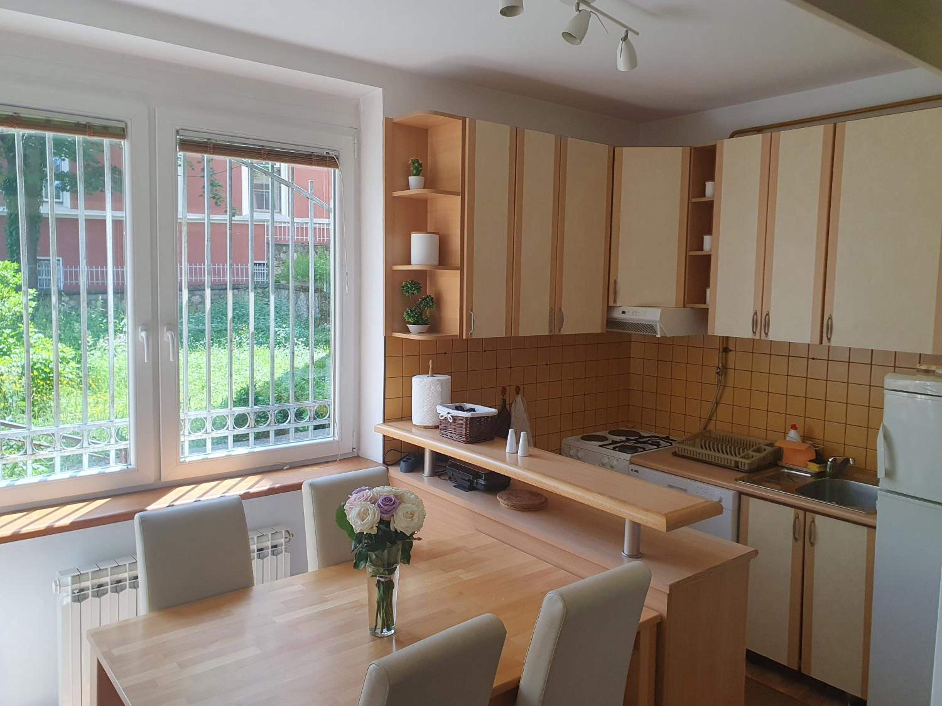 Apartment In The City Center