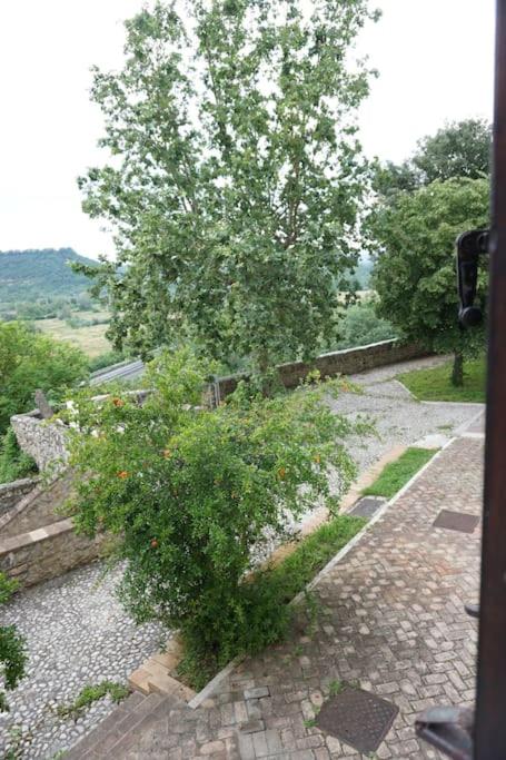 SAILA Monolocale VENERE view 2
