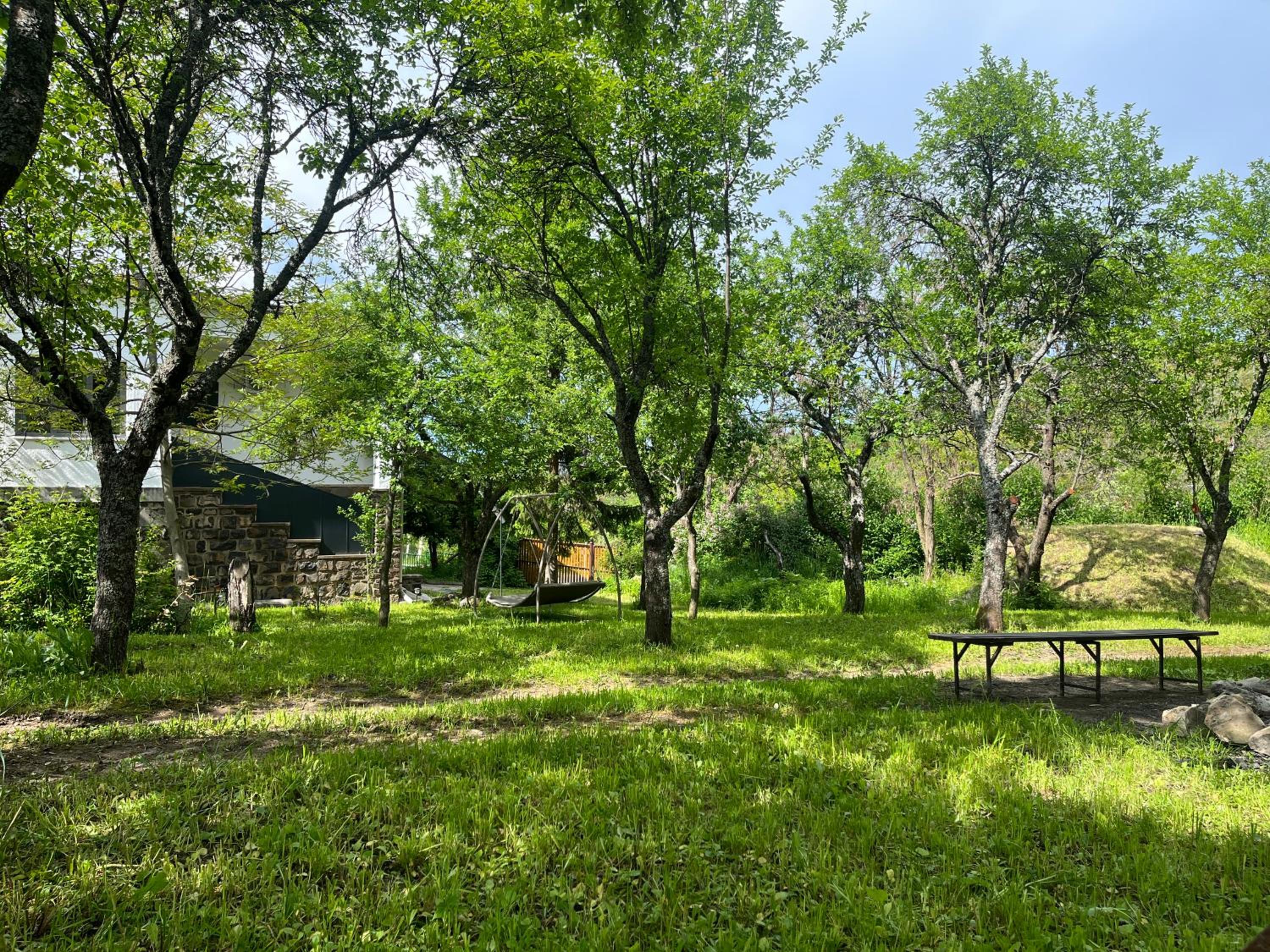 Photo 25