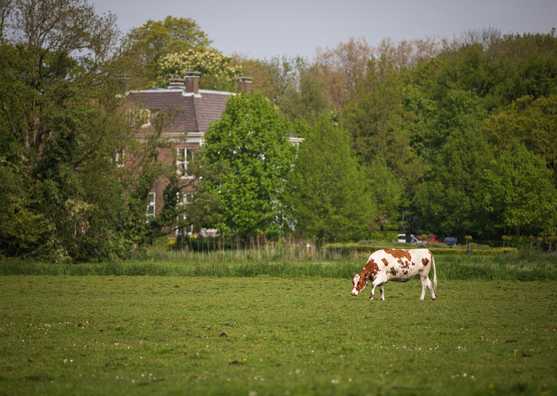 De Dinkelhoeve