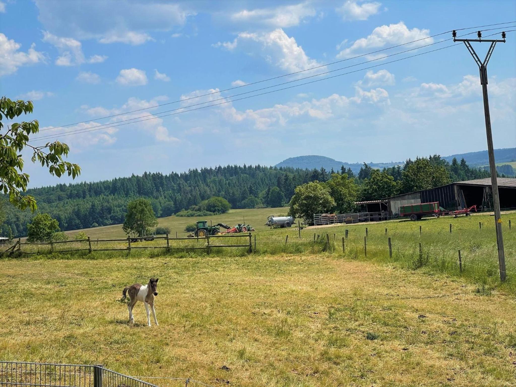 Ferienwohnung Eifel (Blick Aremberg)