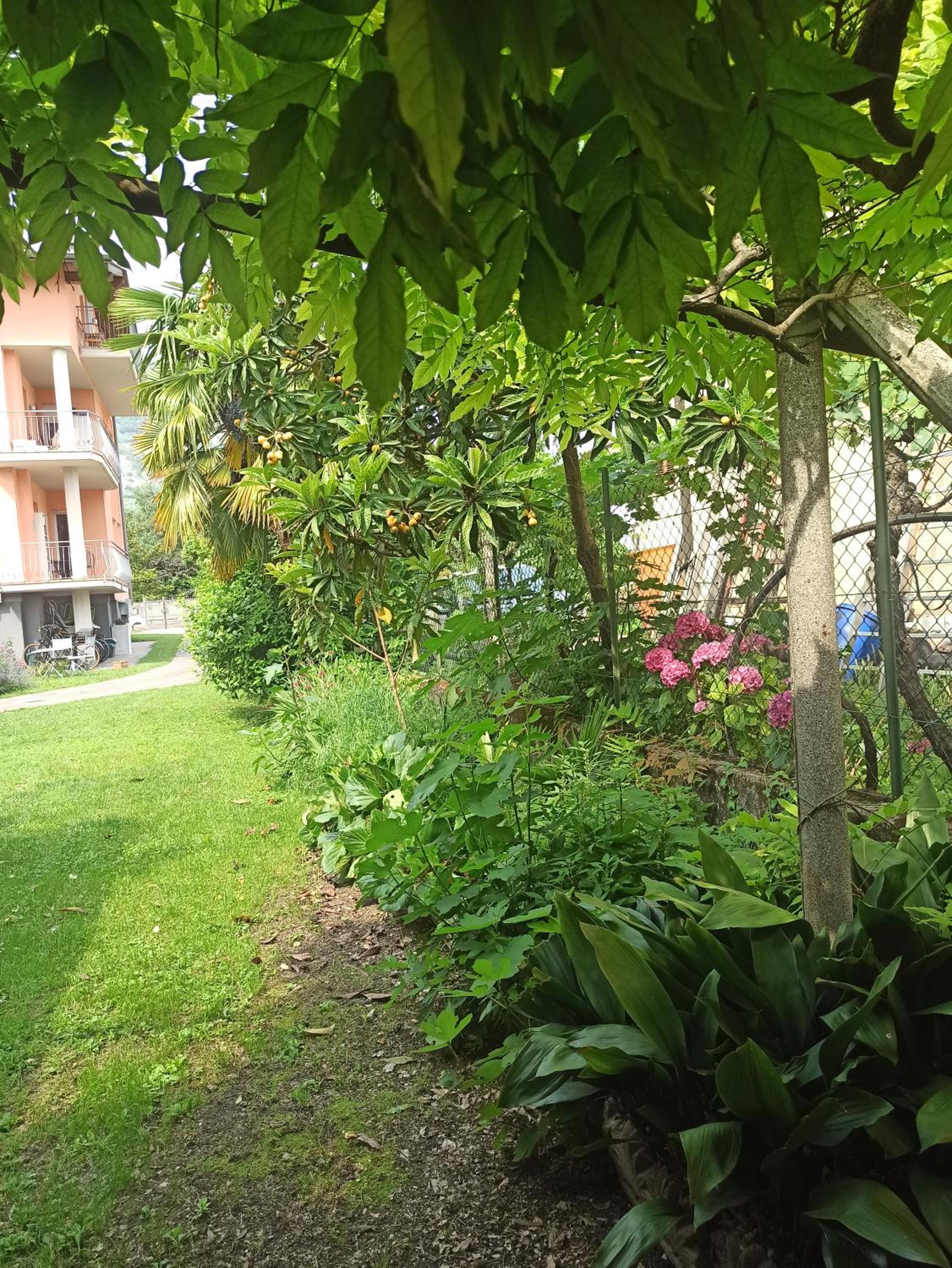 Appartamento Vero_Arco view 2