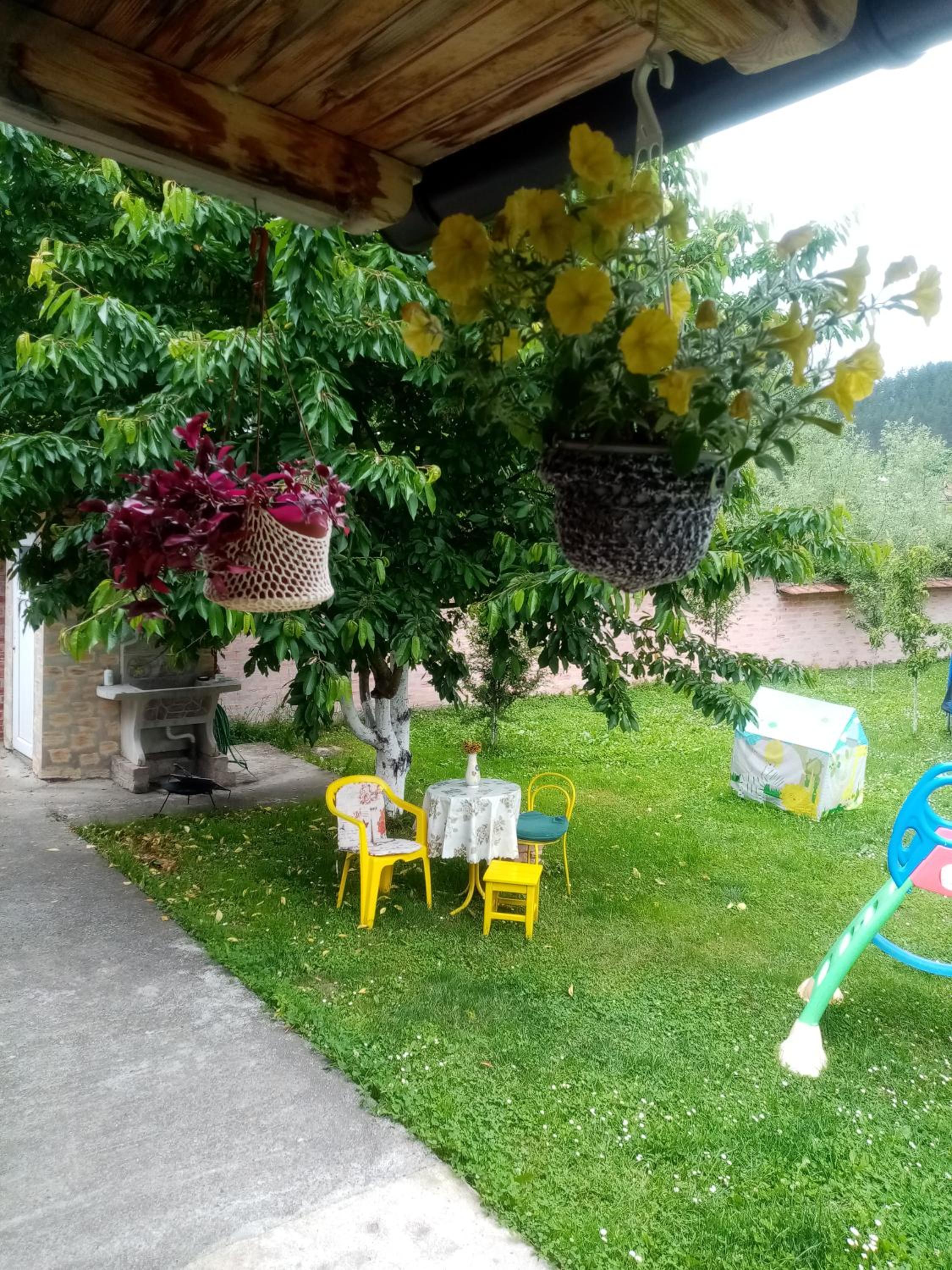 Božanstvena Drina