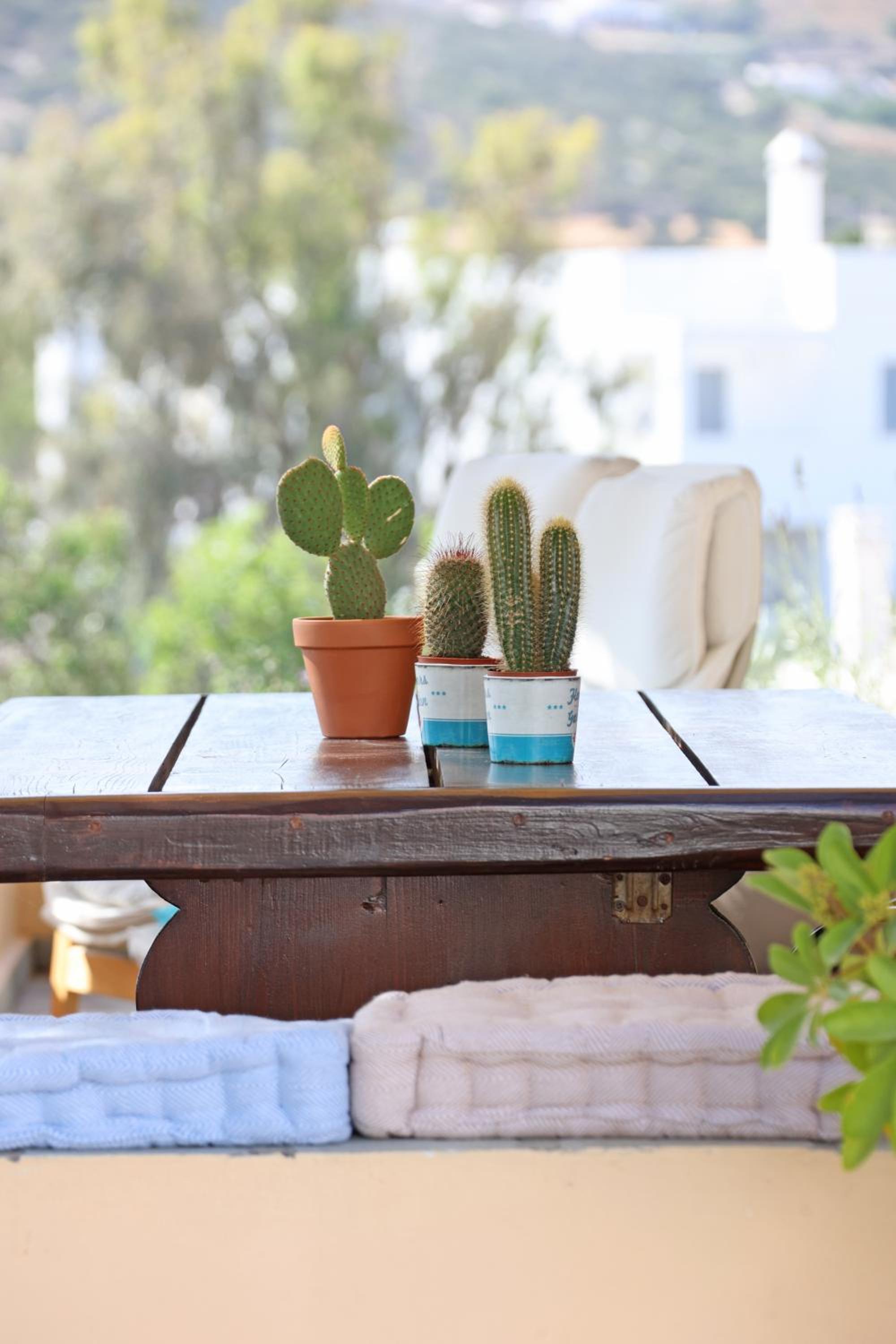 Pine Cottage, Syros Island