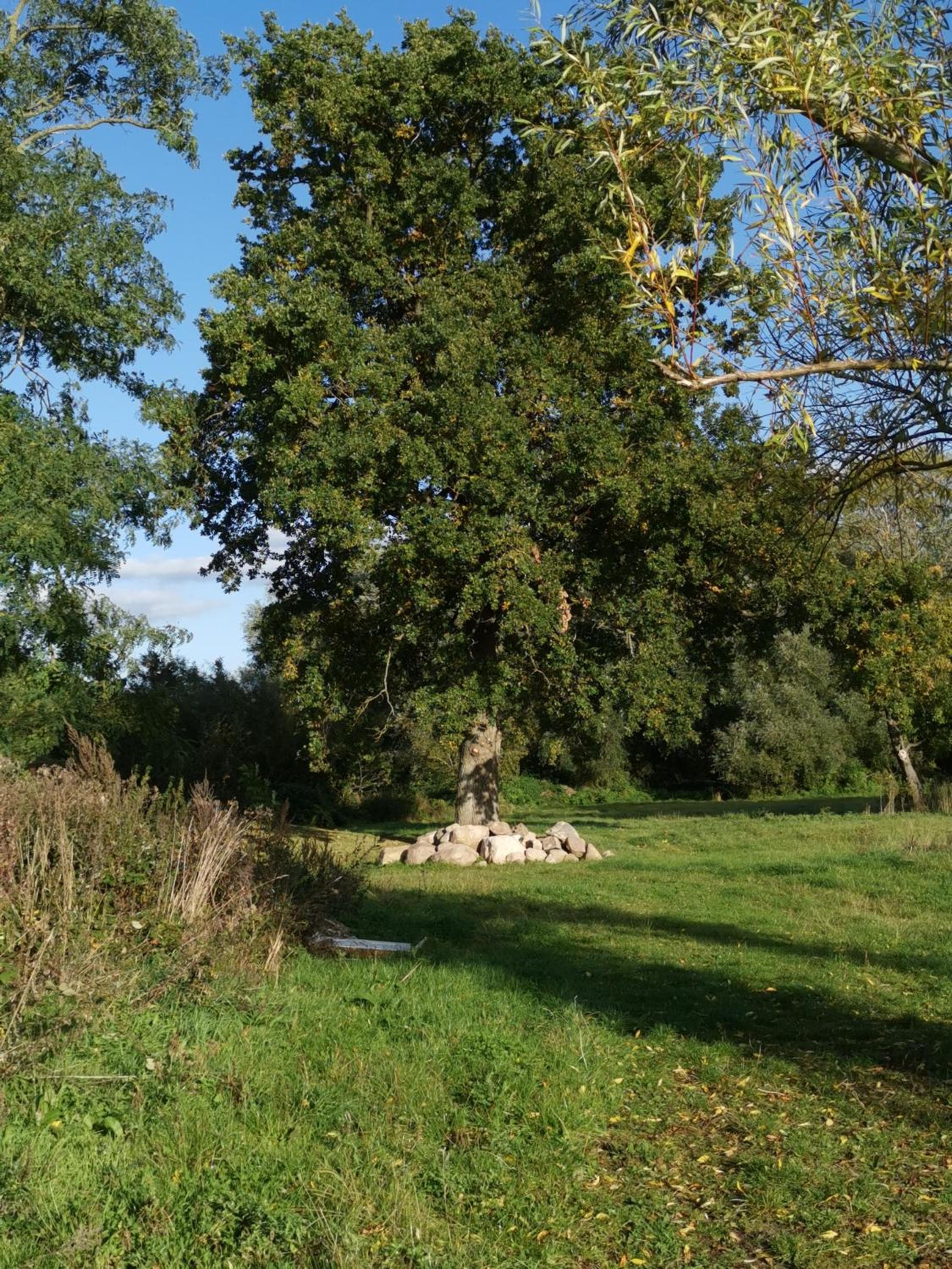 Gutshaus KVH FeWo Brook
