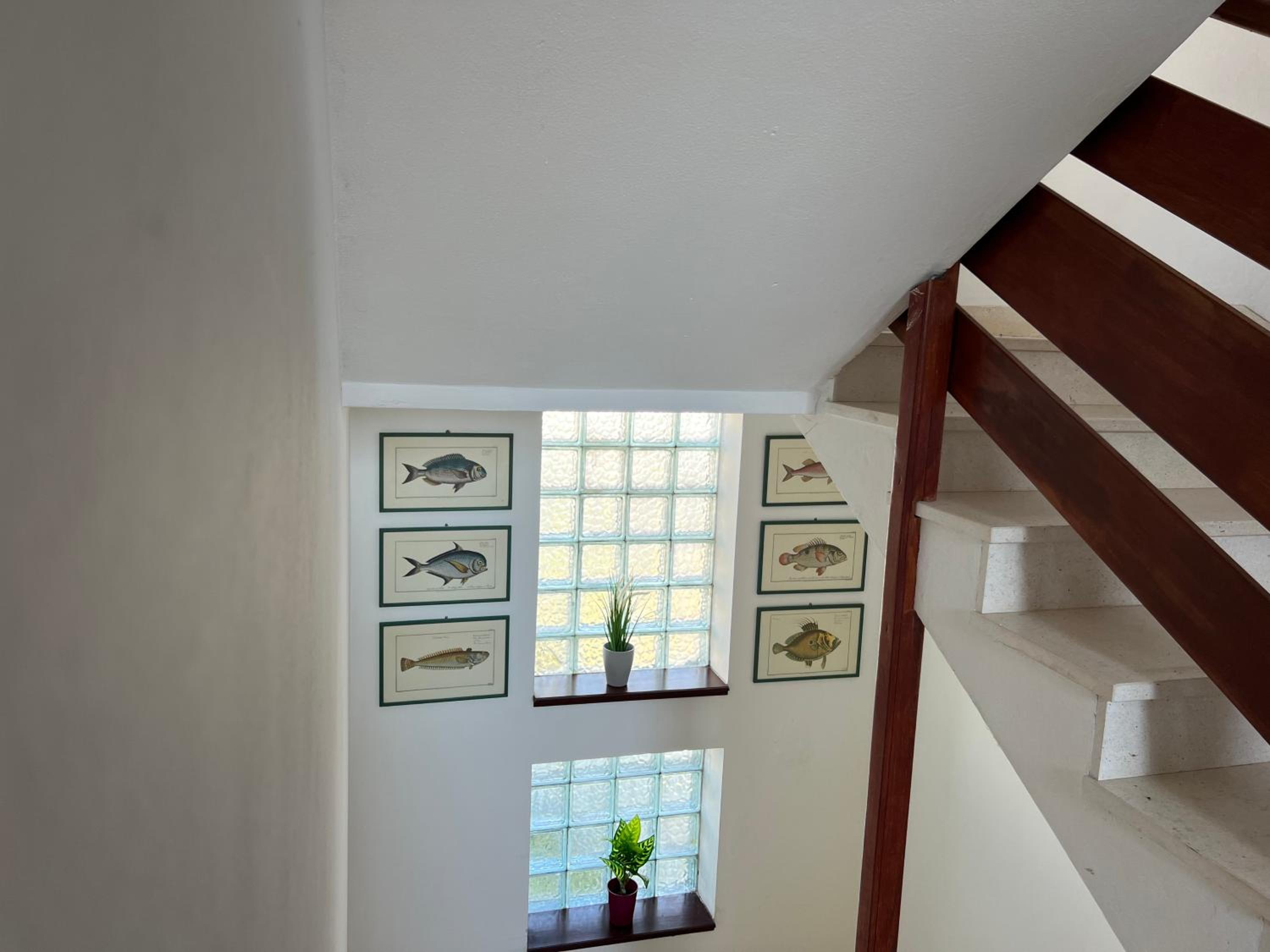 Apartmani Rosa