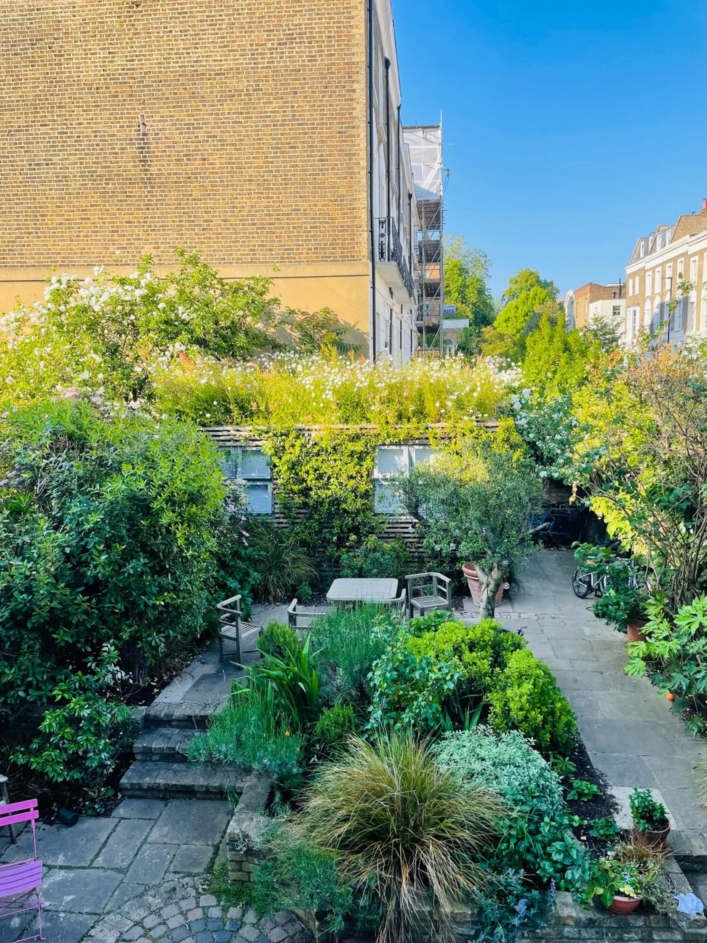 garden