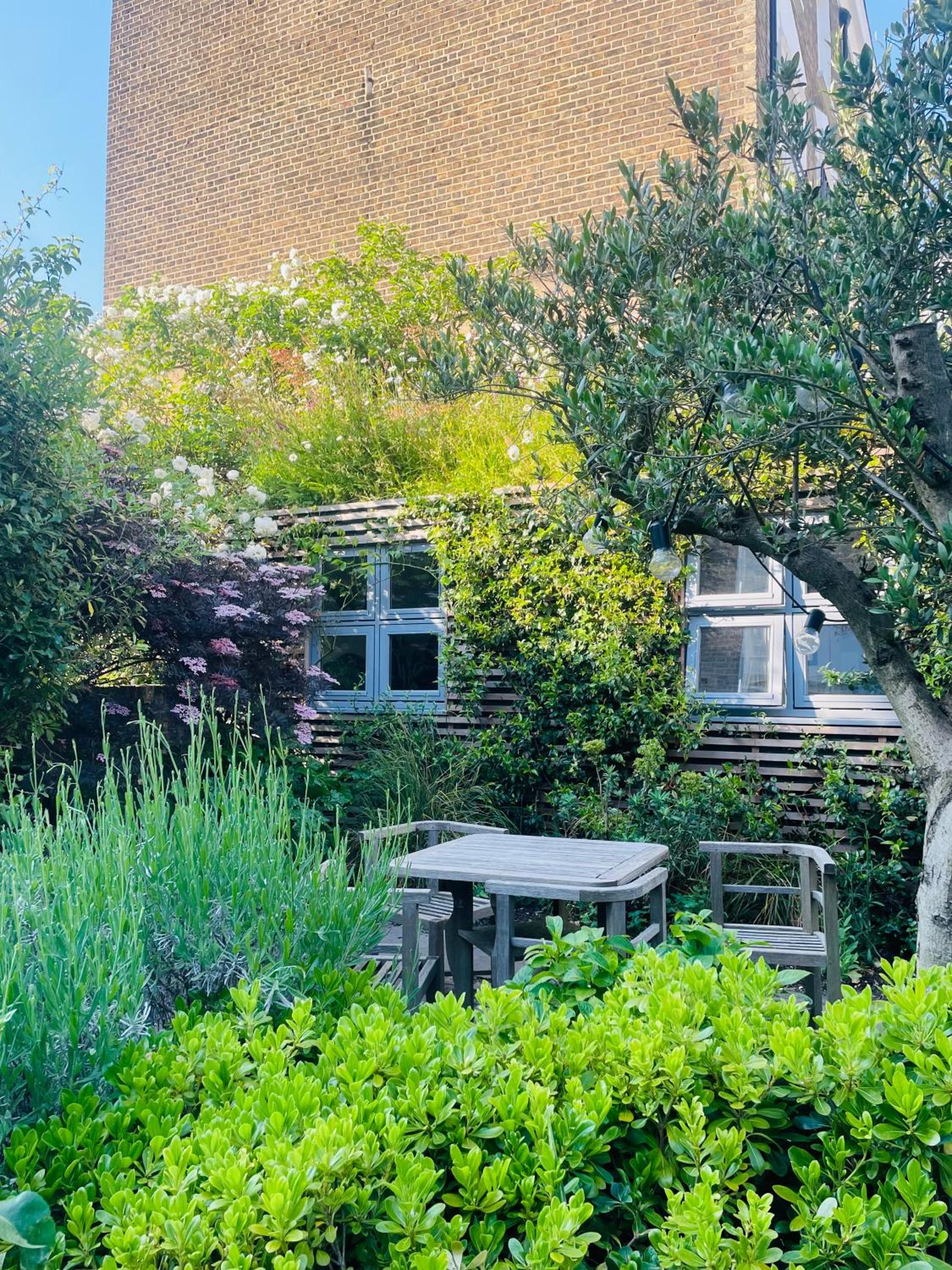 garden