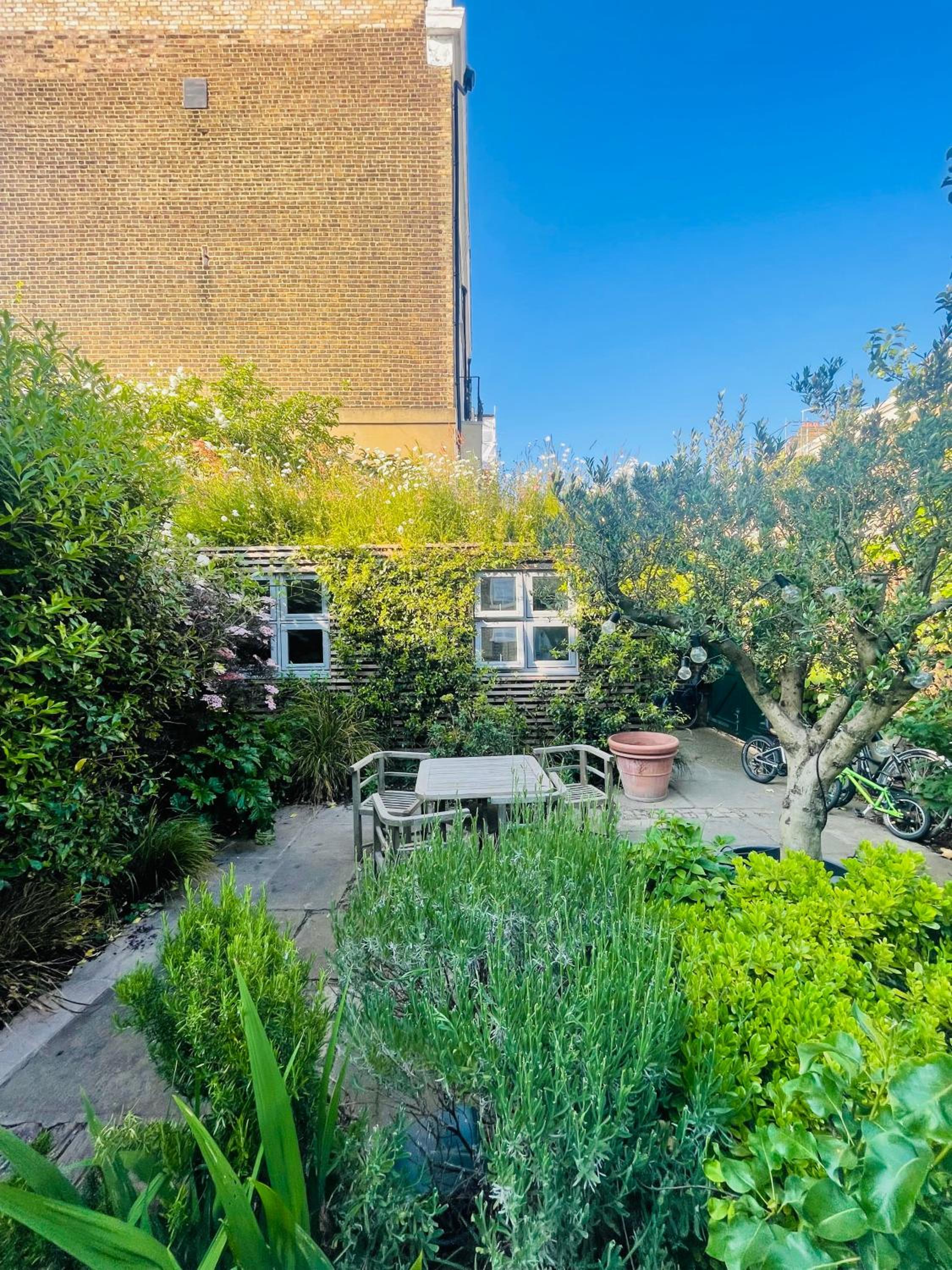 garden