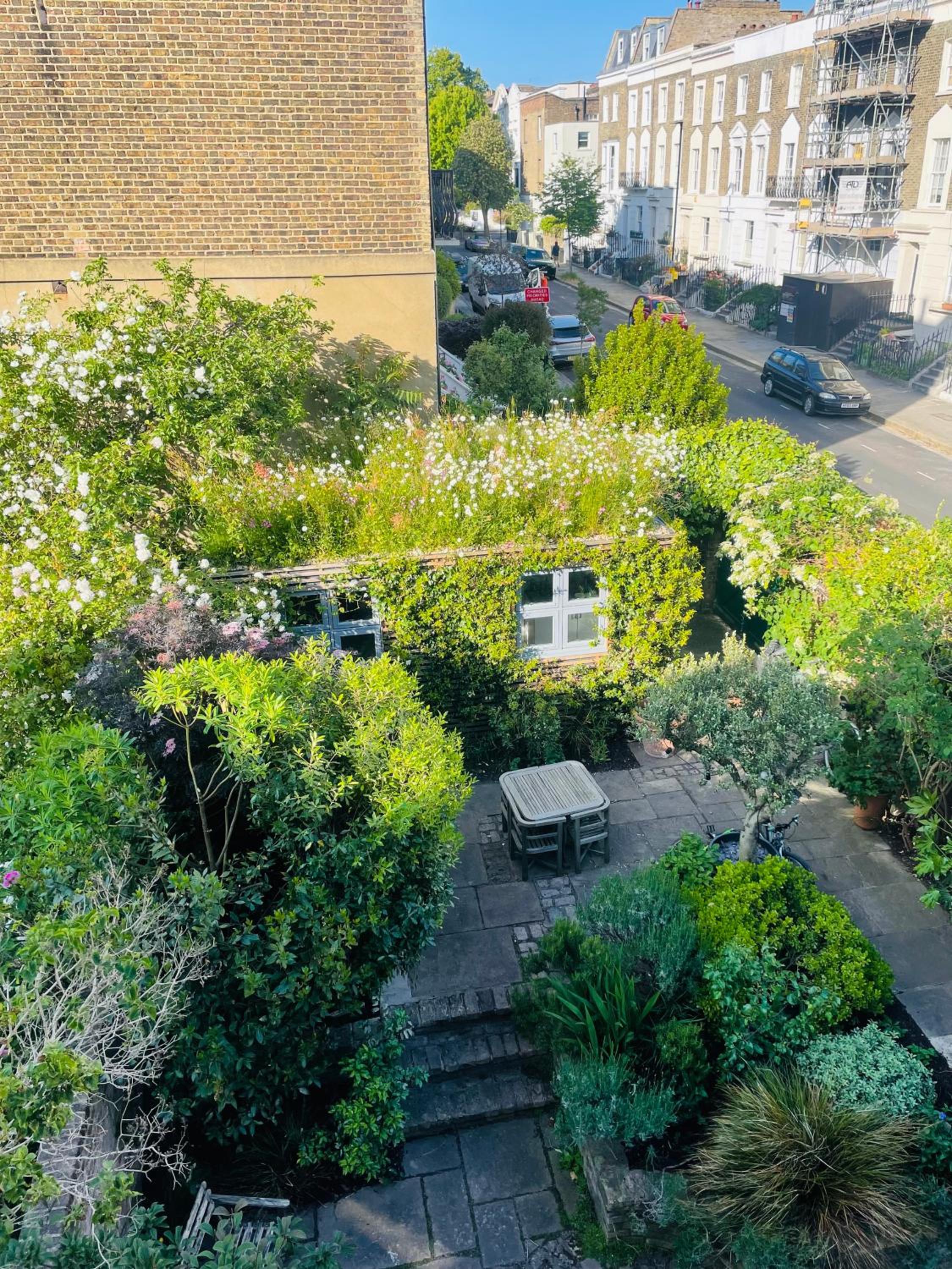 garden