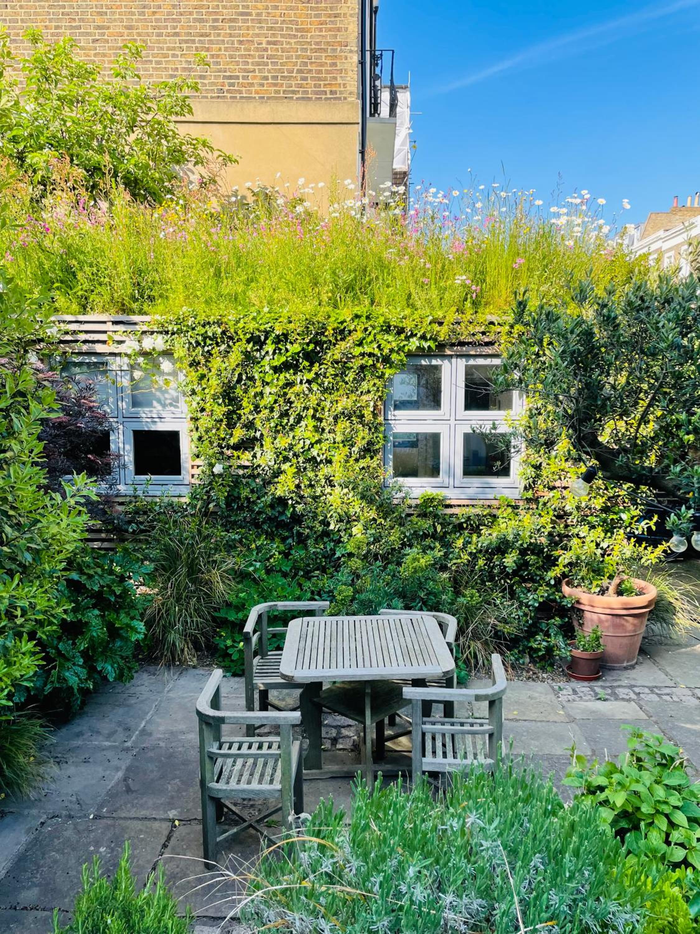garden
