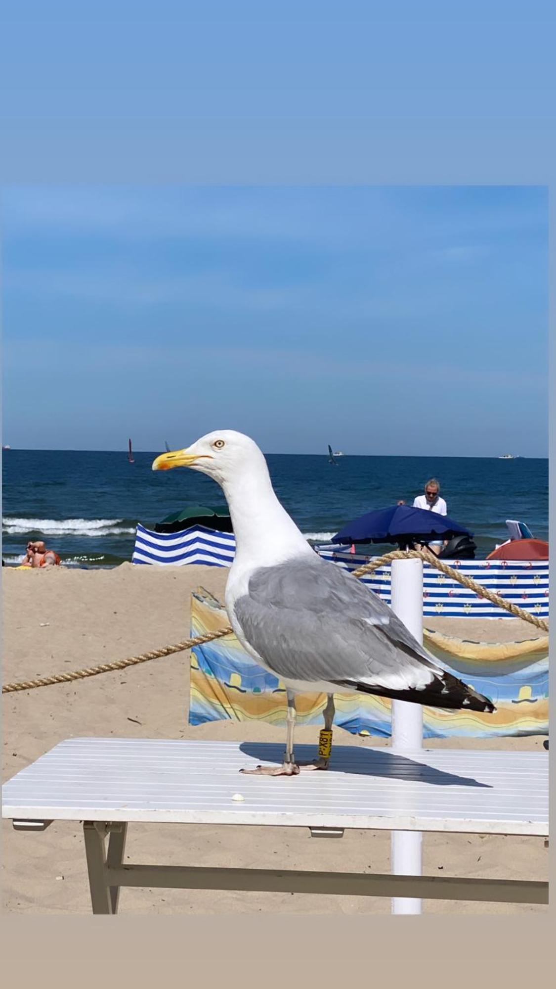 Sopot Monte Cassino Glamour by Downtown Apartments