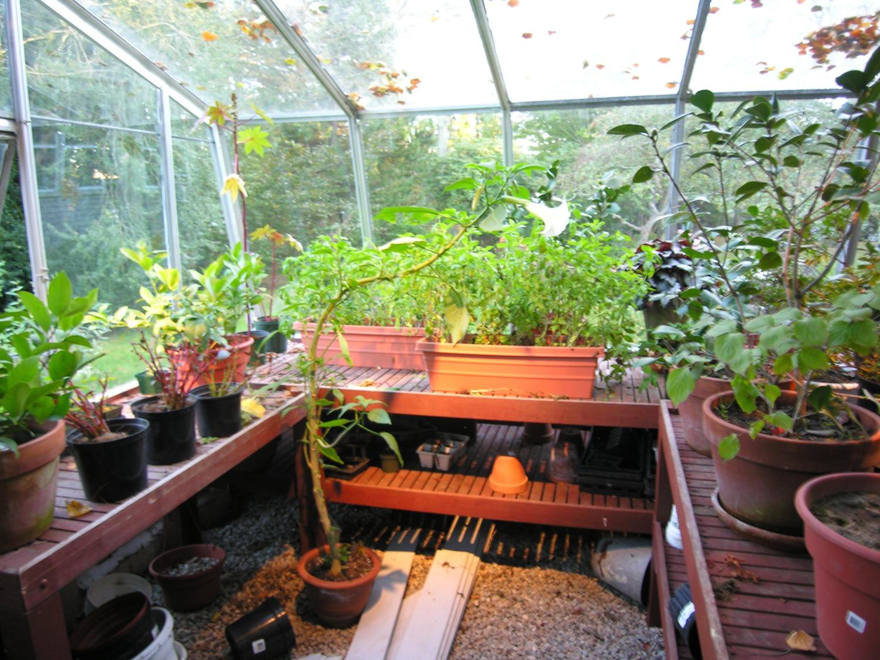 Photo 48