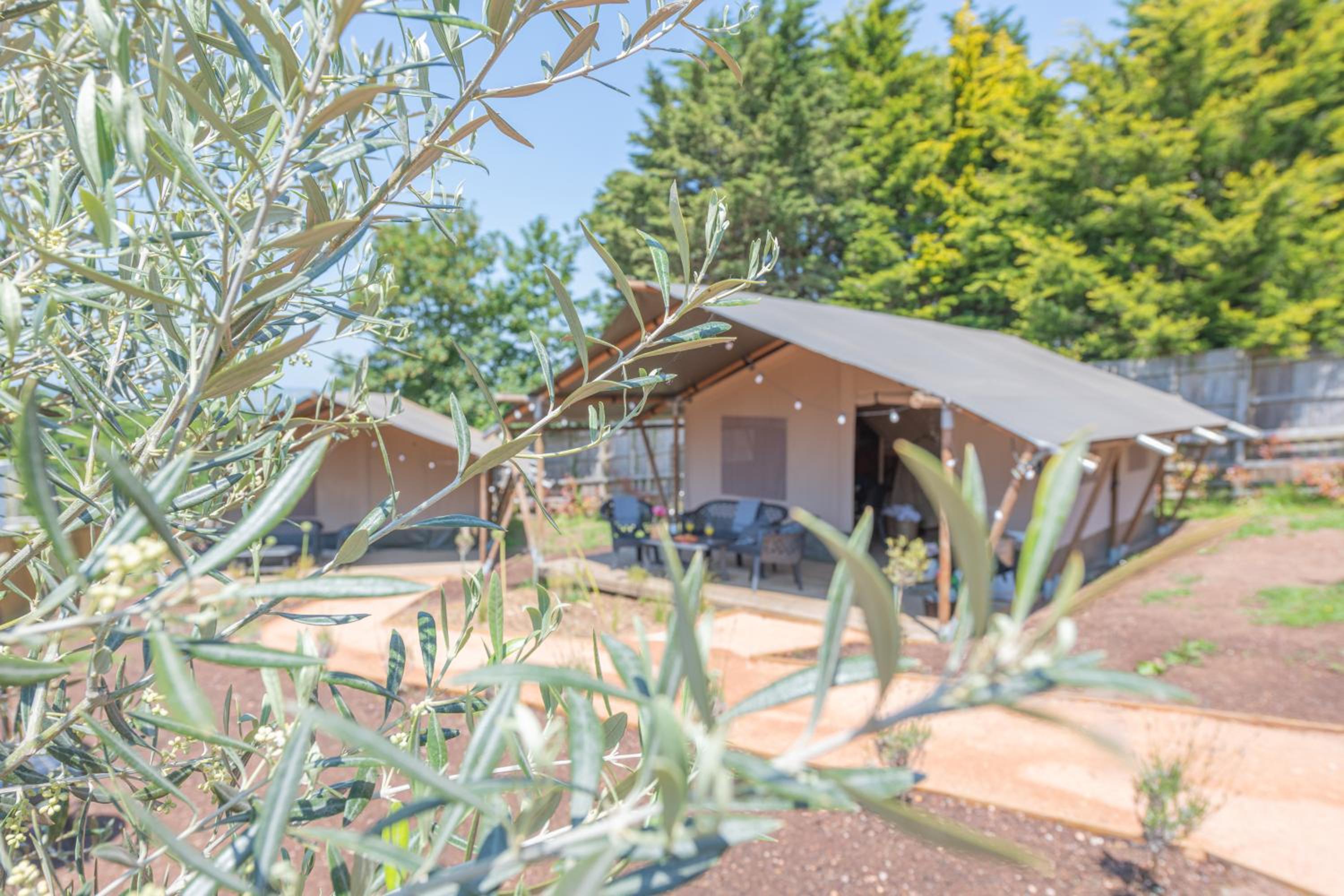 Luxury Glamping at Stags Head view 2
