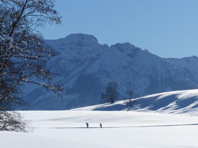 Allgaeuer-Landhaus-Stocker view 2