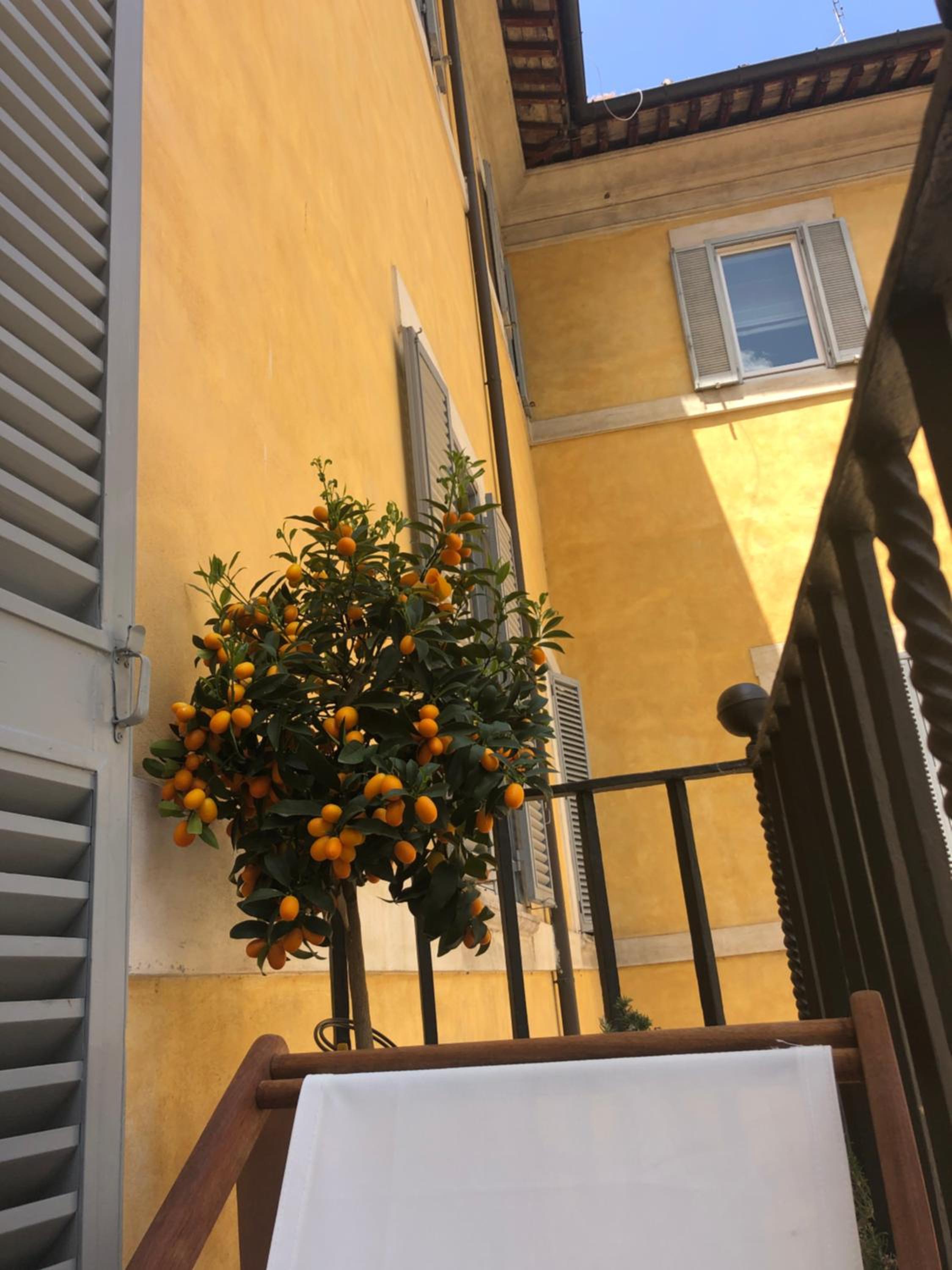 NEW! BELLISSIMO PalazzoFranchi Pantheon photo 3