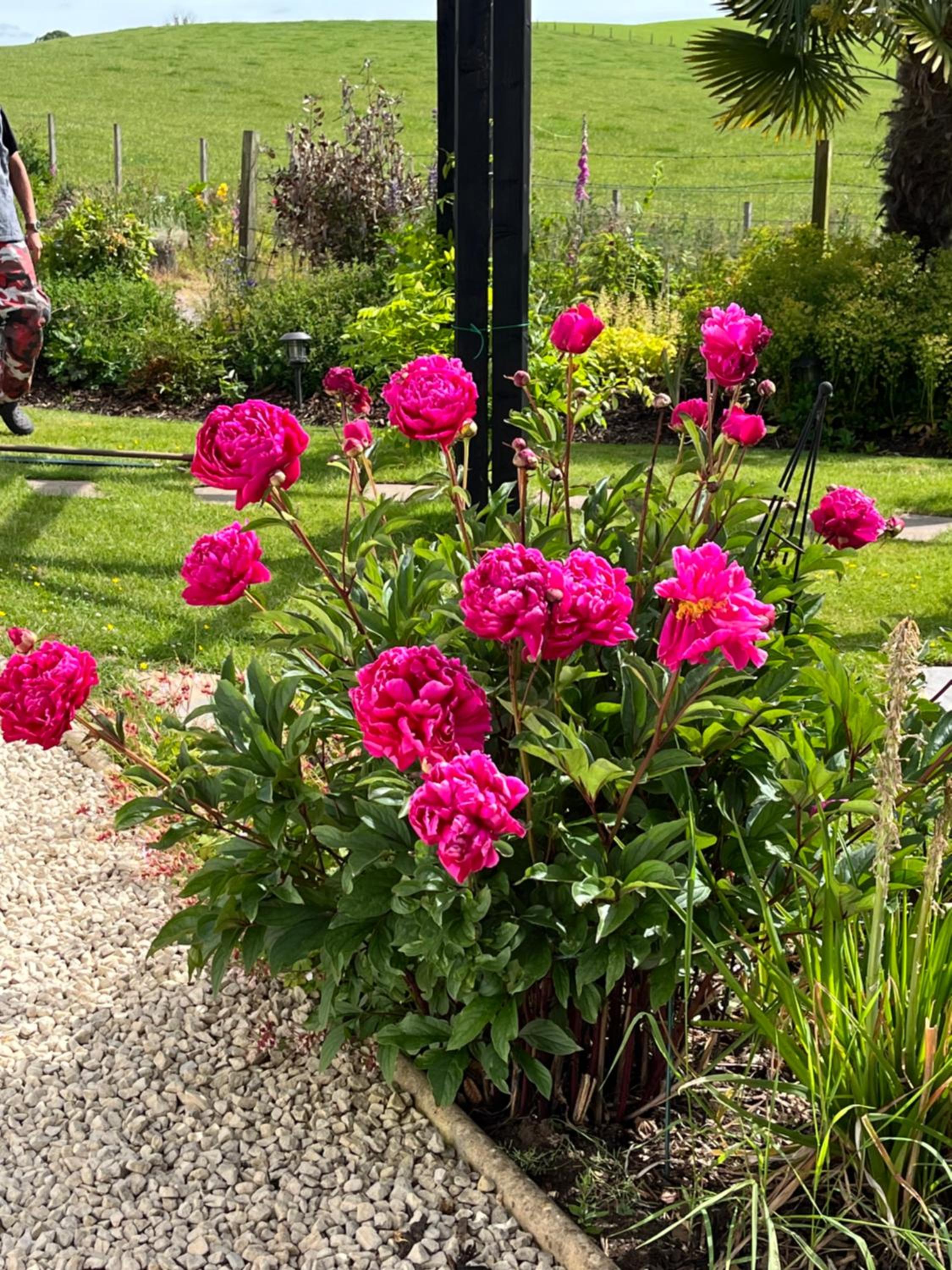Retreat at The Knowe Auchincruive Estate