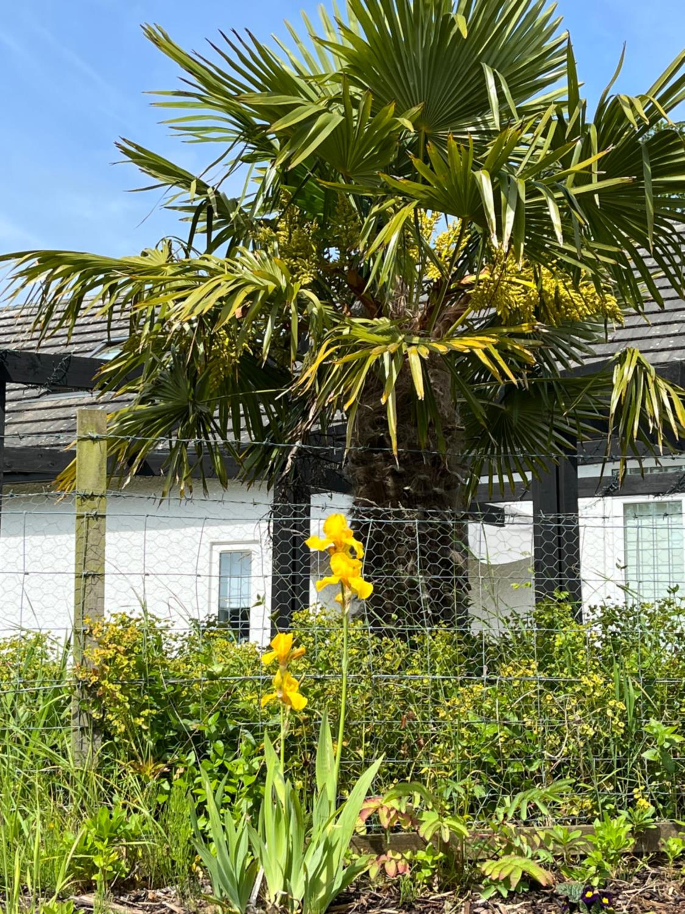 Retreat at The Knowe Auchincruive Estate