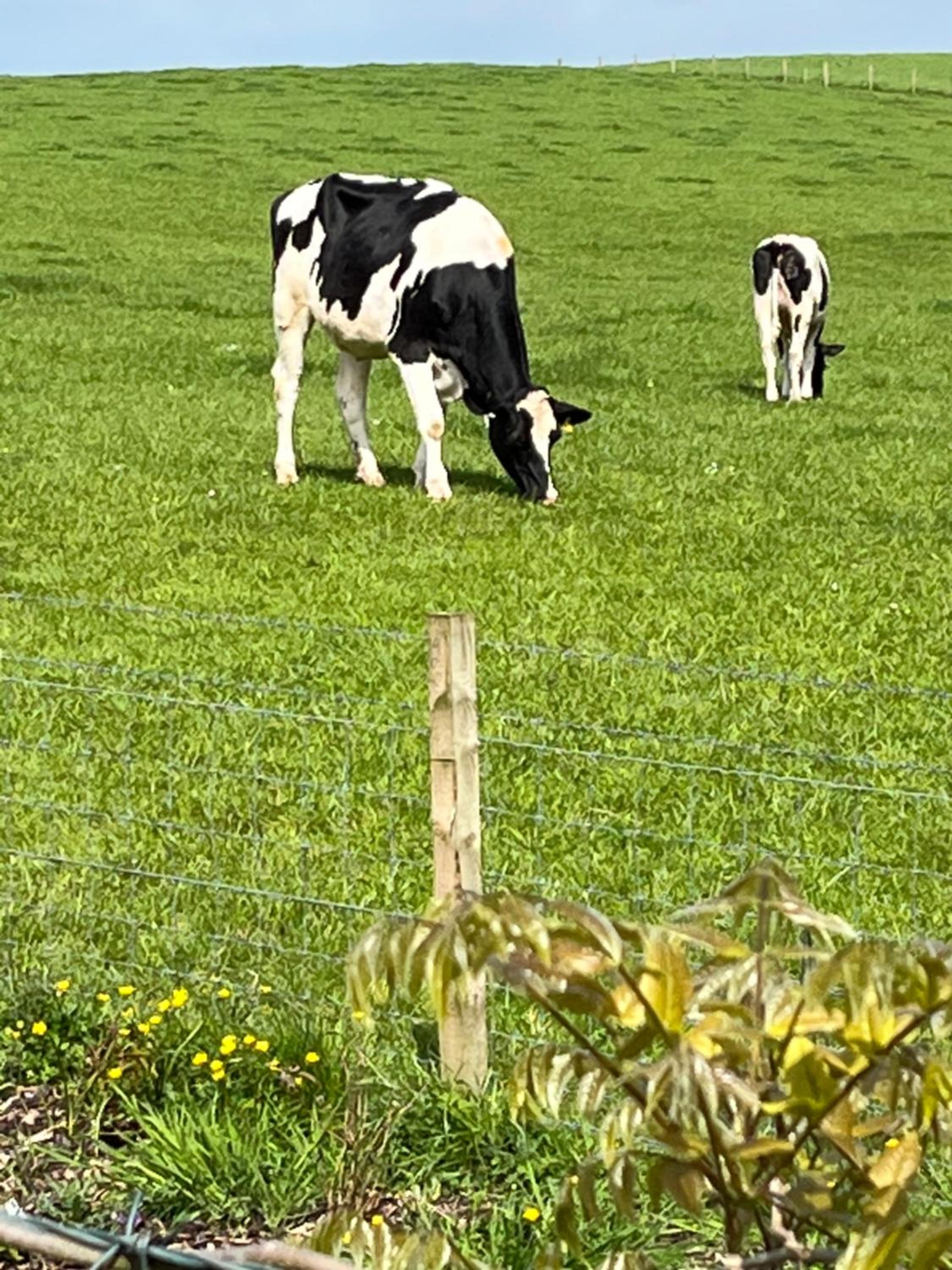 Retreat at The Knowe Auchincruive Estate