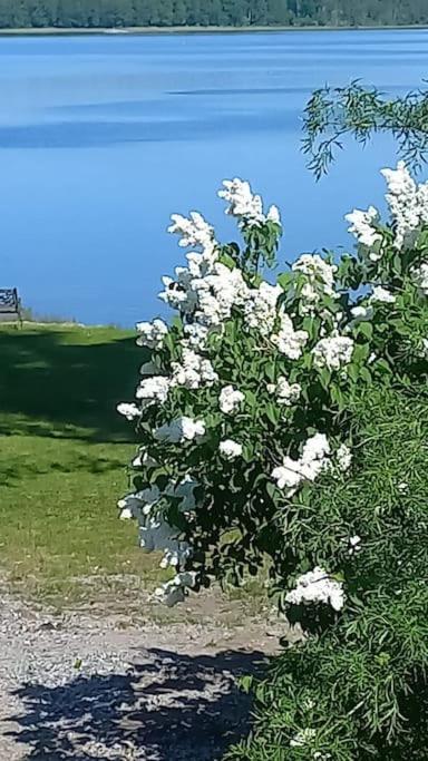 A wonderful house in the lake. view 3