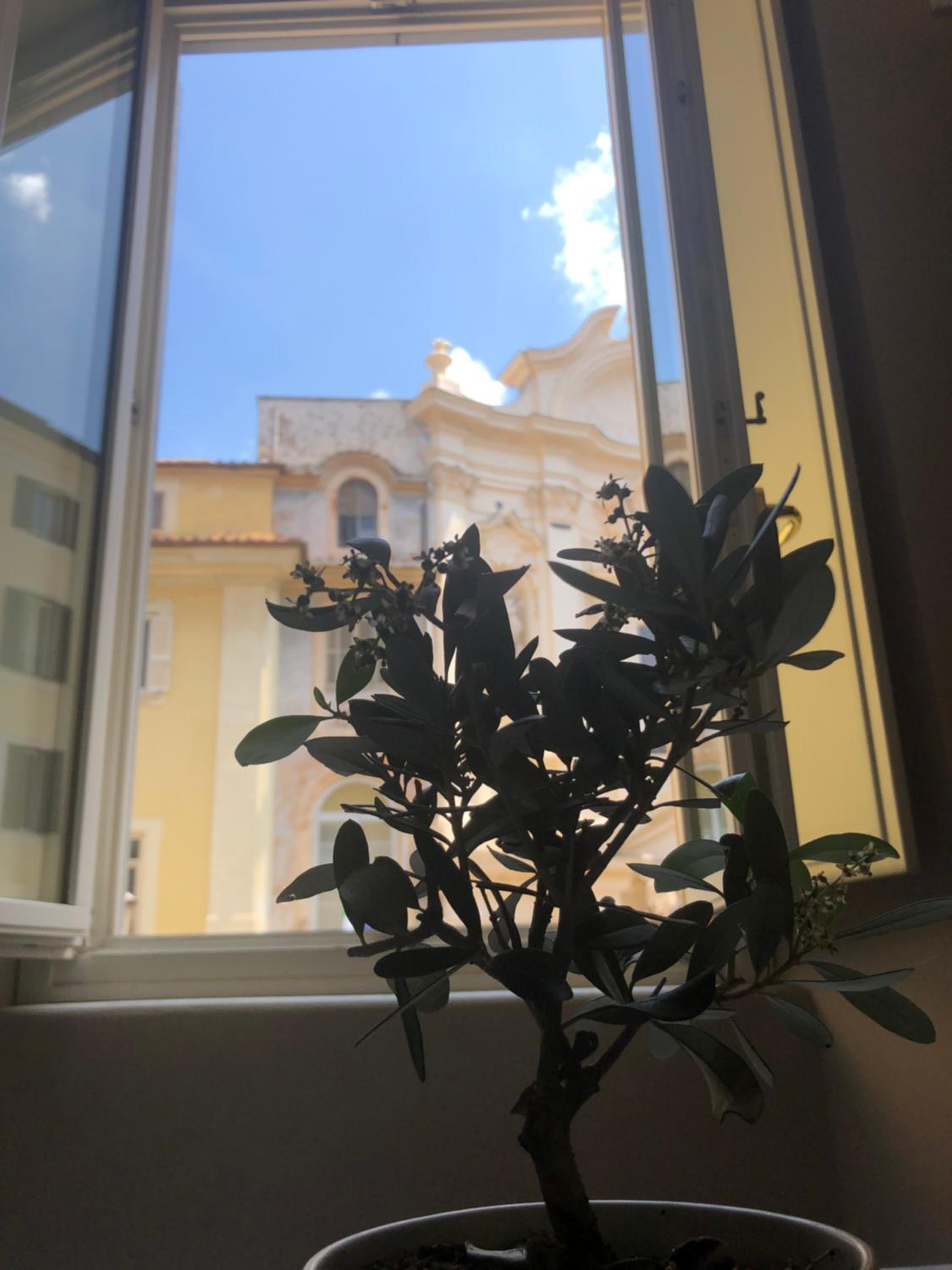 NEW! BELLISSIMO PalazzoFranchi Pantheon