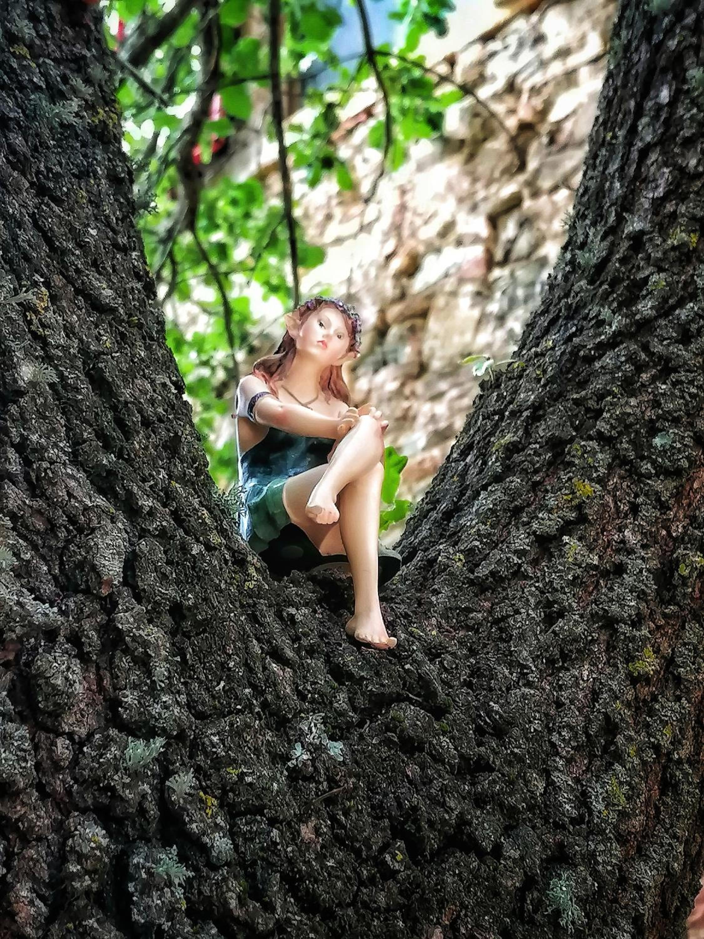 Casa nel bosco il Grottone