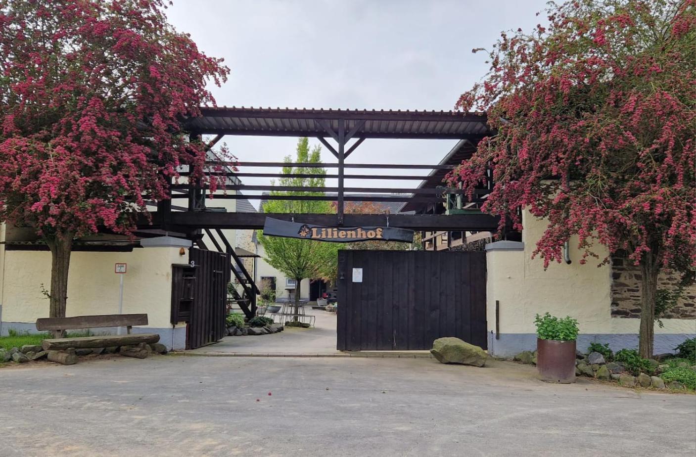 Moderne Ferienwohnung Black Beauty auf idyllischem Reiterhof nähe Burg Eltz