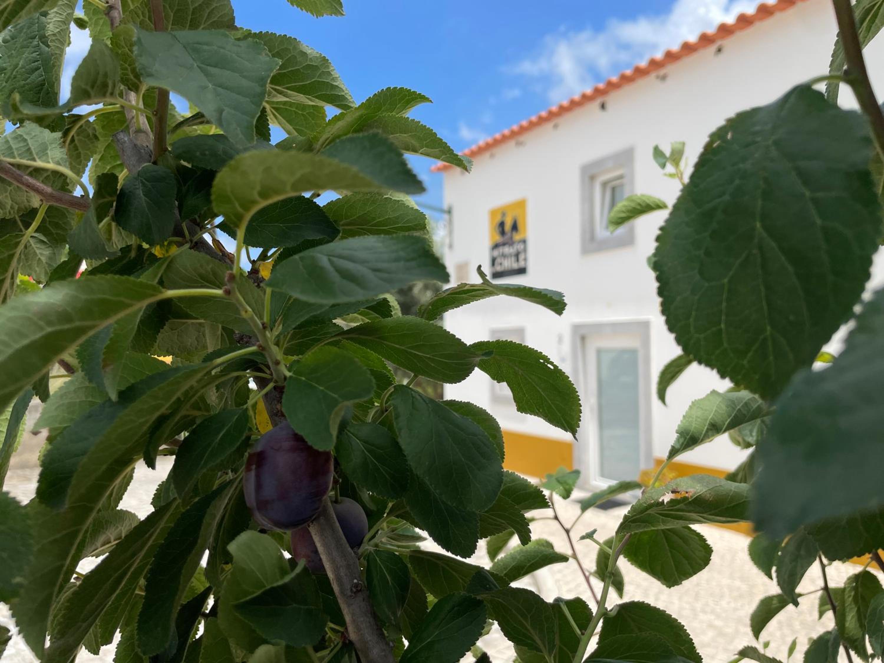 adubai Obidos view 2