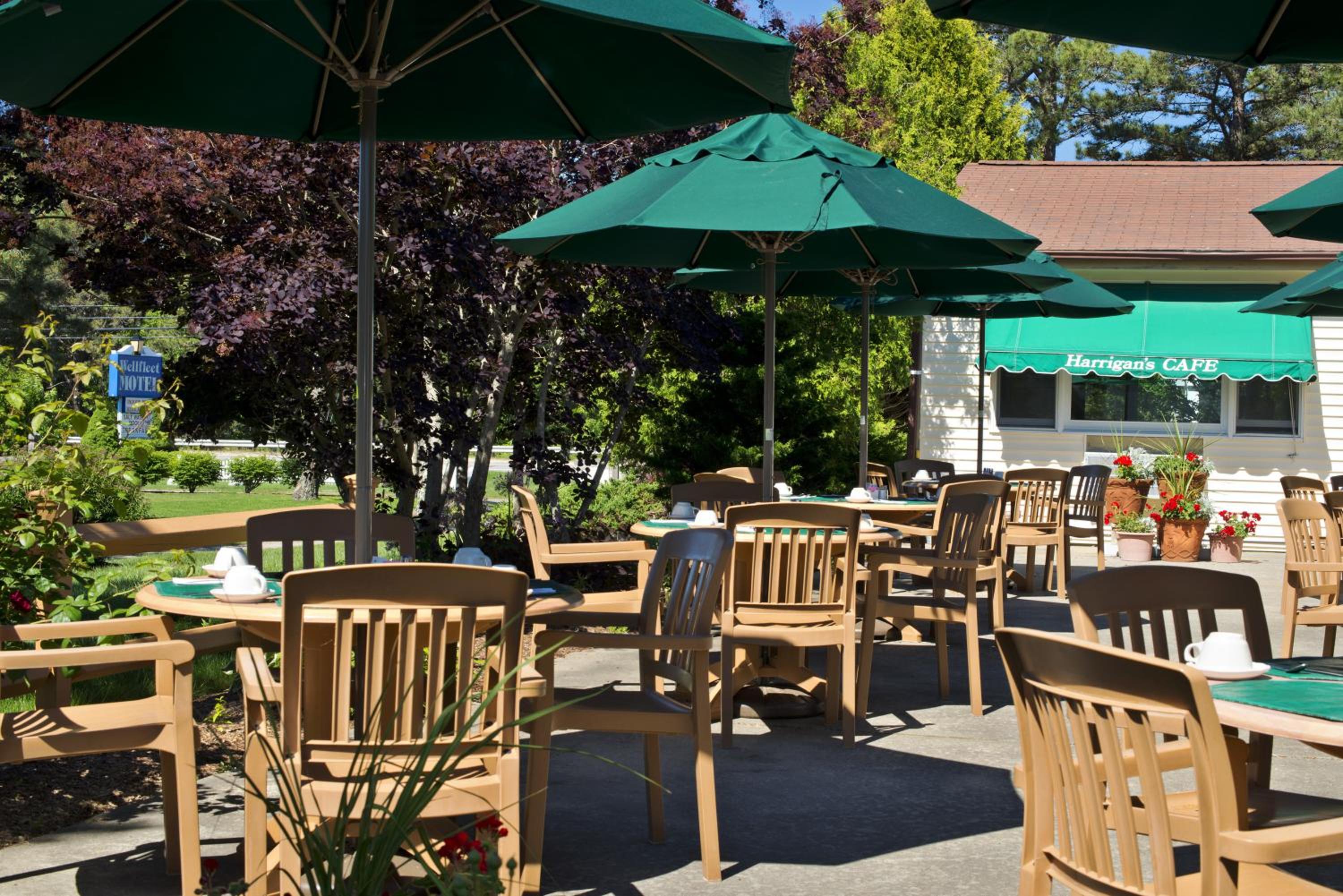 Wellfleet Motel & Lodge