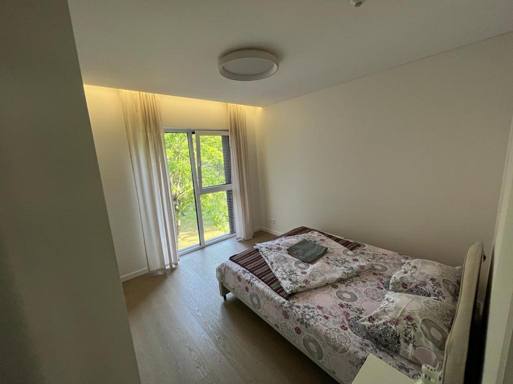 Birstonas Holidays Apartment view 3