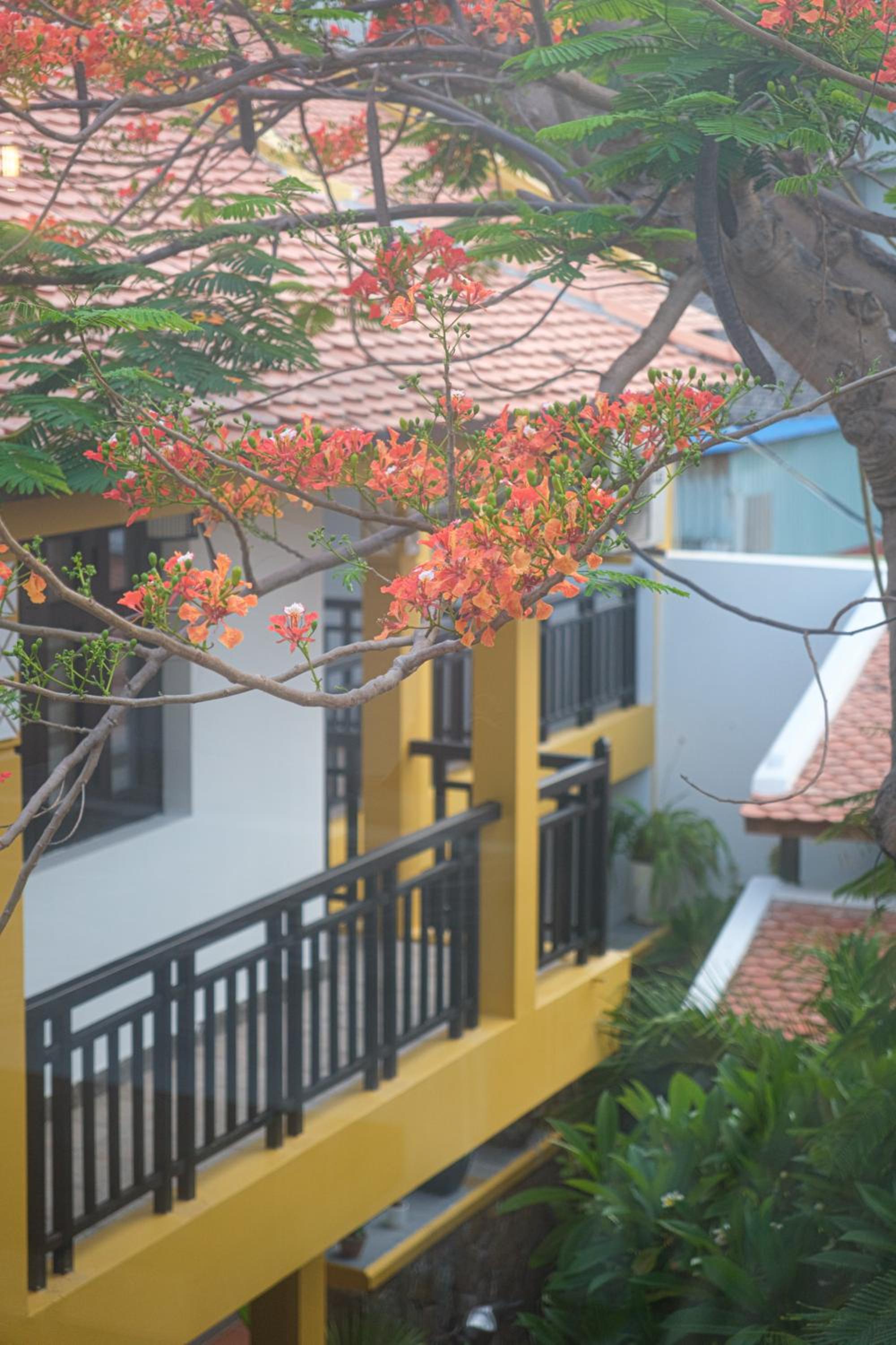 Tuong Boutique Mui Ne