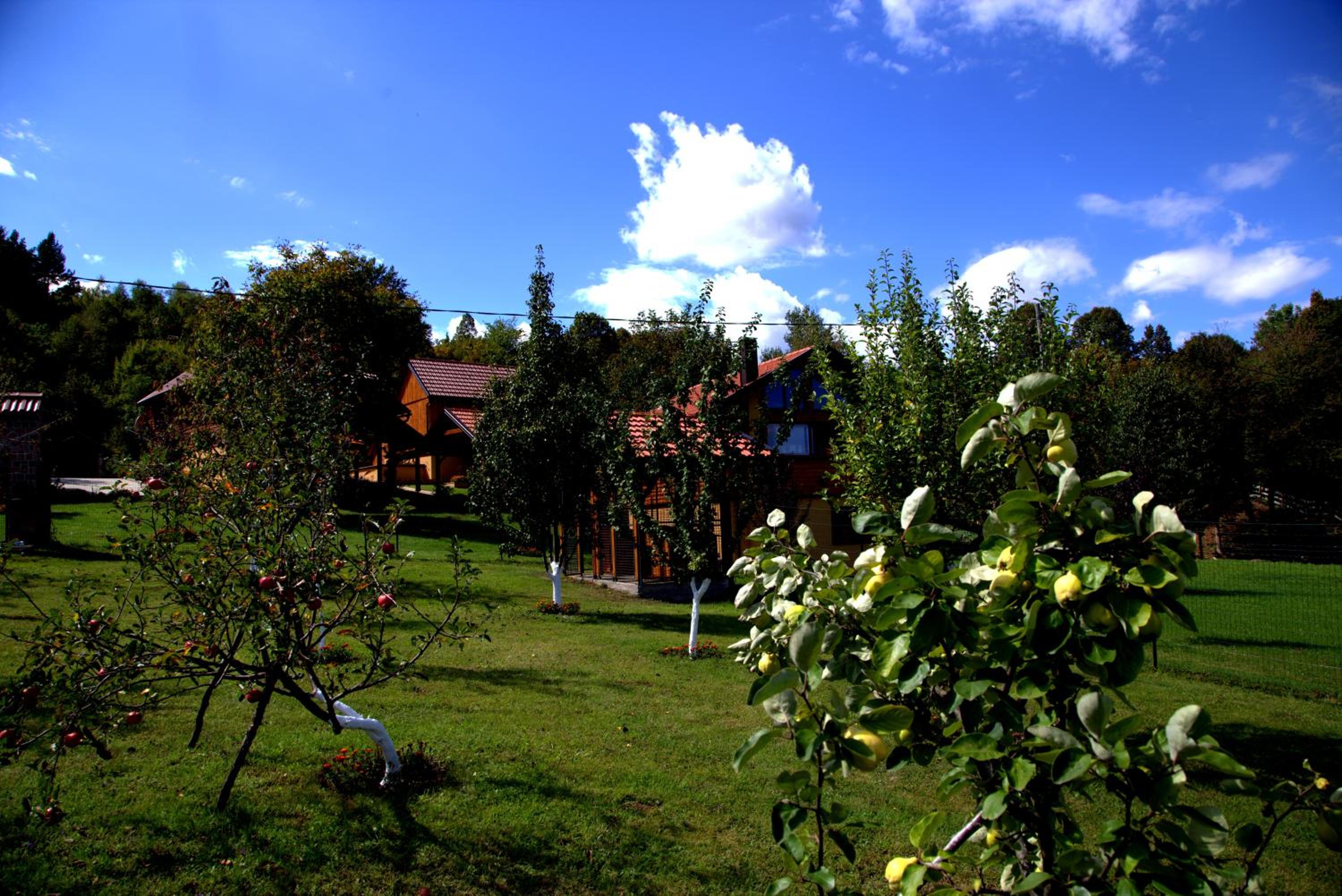 Brezova Poljana Lodge