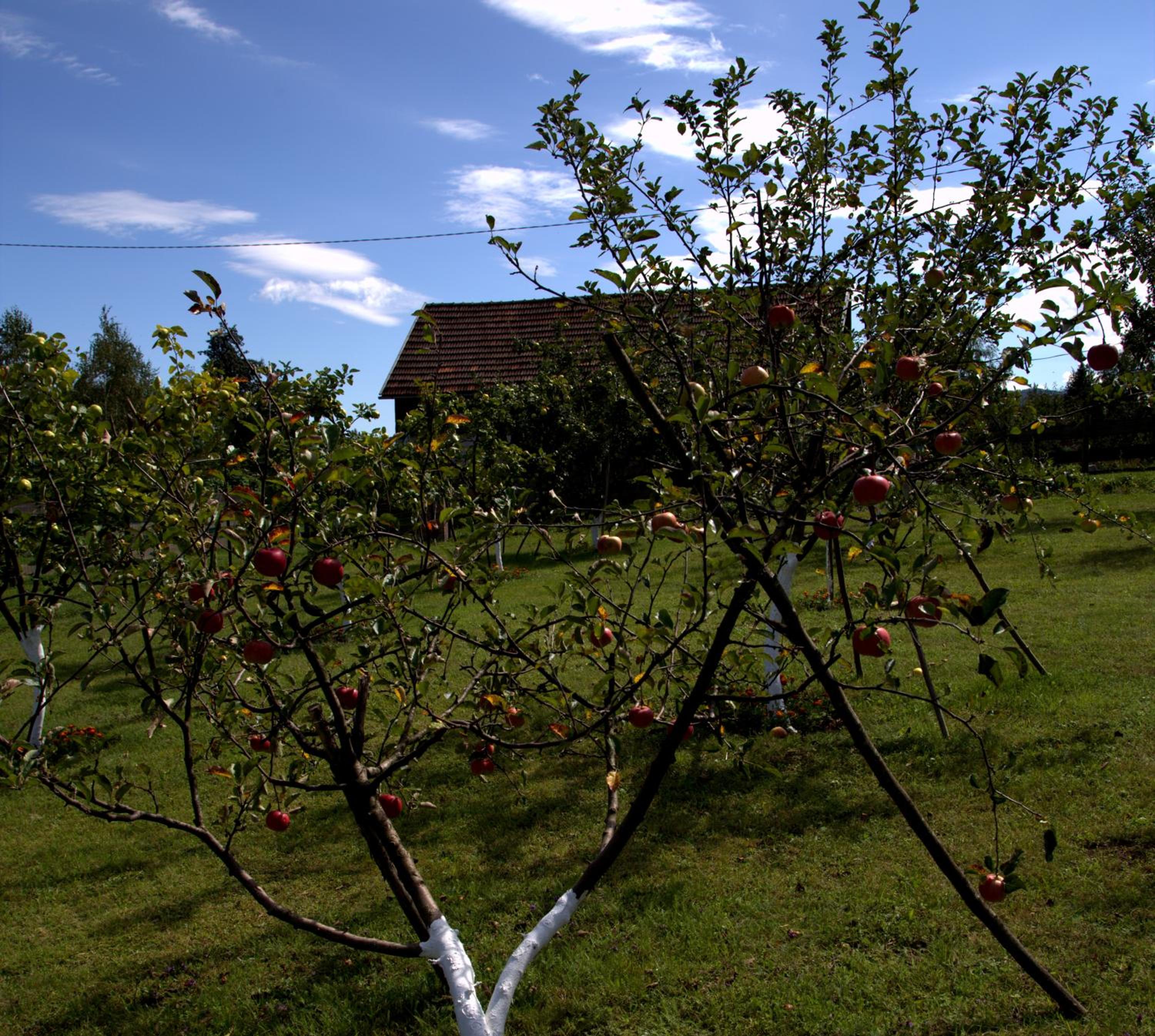 Brezova Poljana Lodge