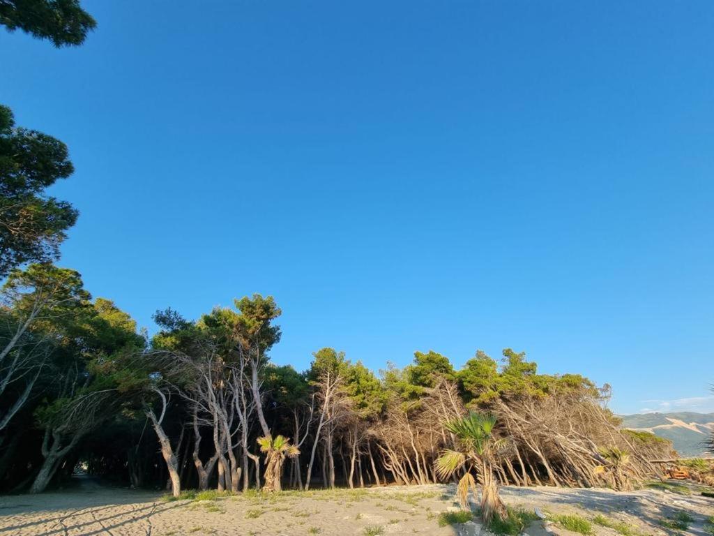Dhoma plazhi Agimi