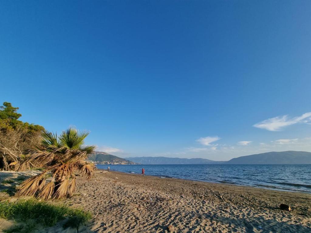 Dhoma plazhi Agimi