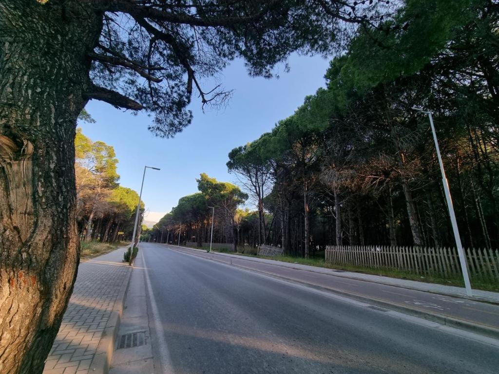 Dhoma plazhi Agimi