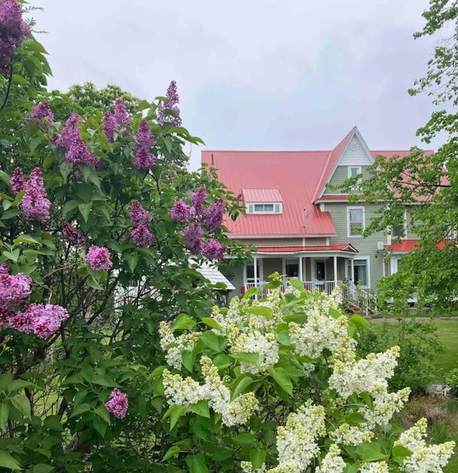 The Doctors Inn New Brunswick