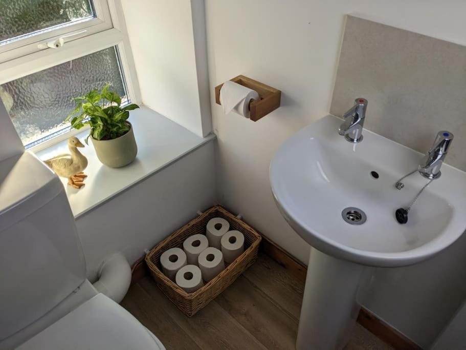 Rustic Vintage Cottage: Near Waterfall Country view 5