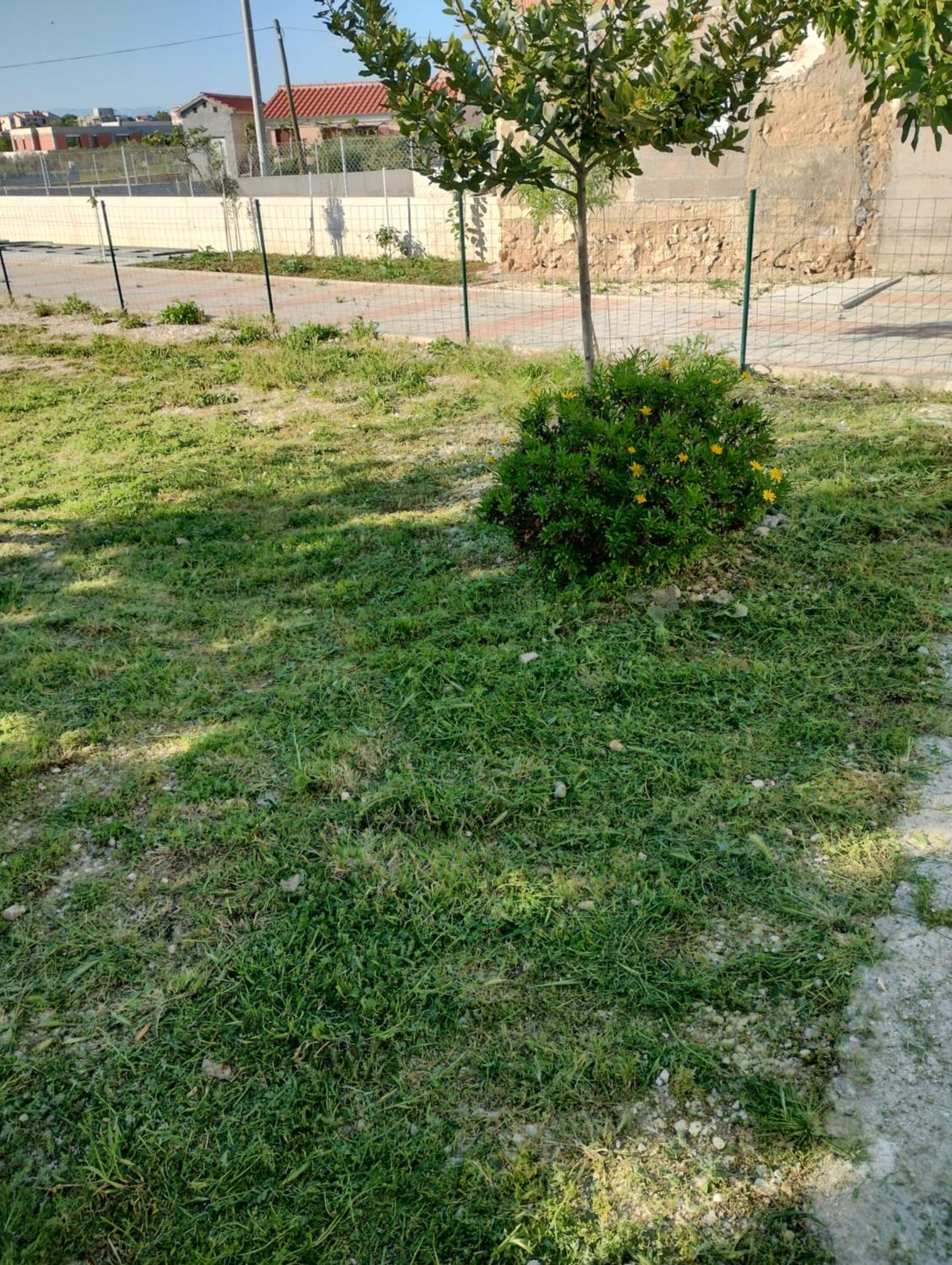 Apartman Enia photo 3