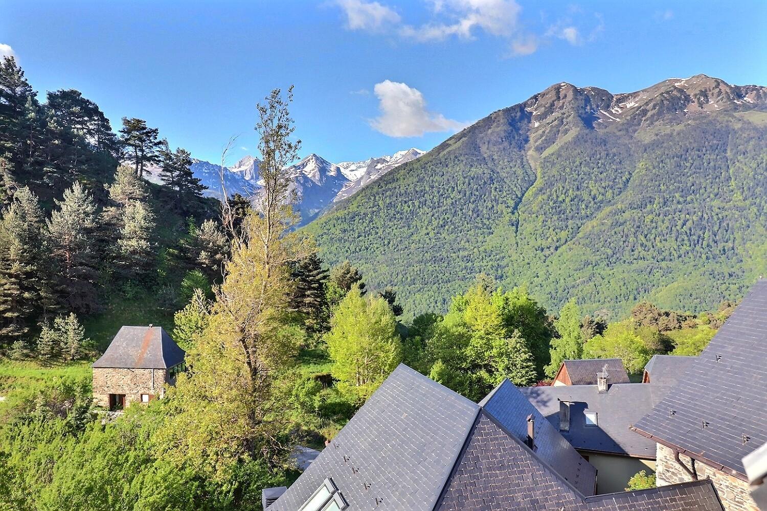 Belle maison de montagne vue sur Aneto