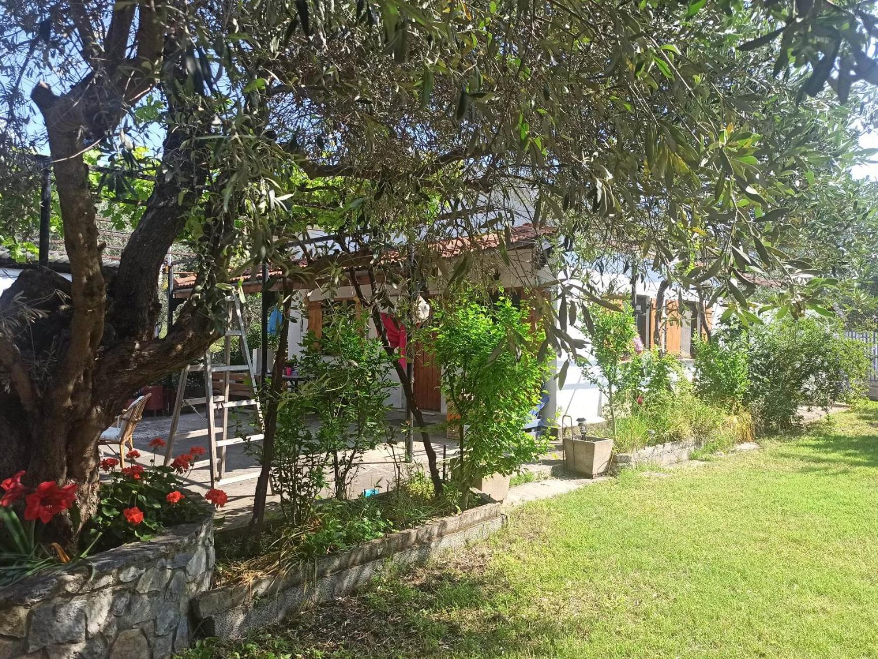 Zephyr Guest House view 5