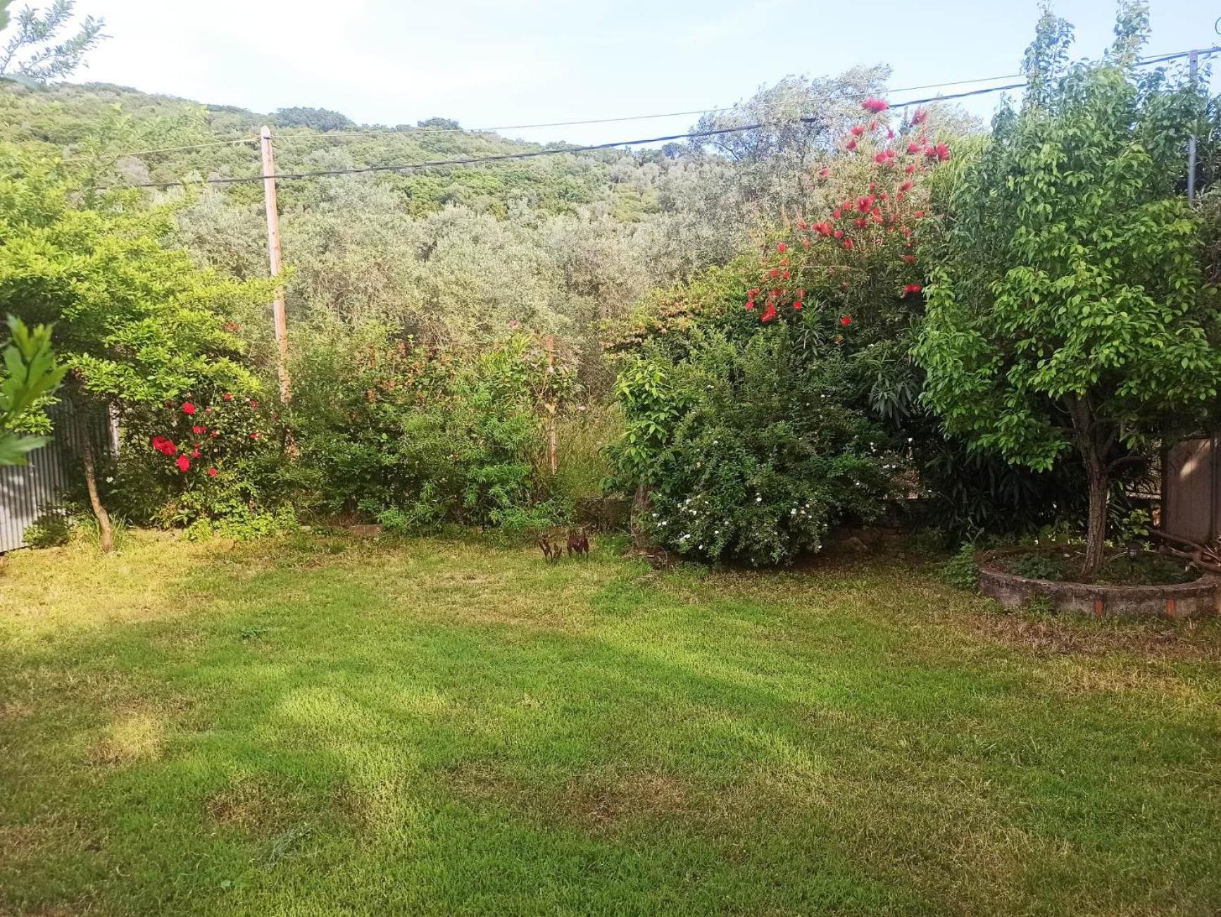 Zephyr Guest House view 3