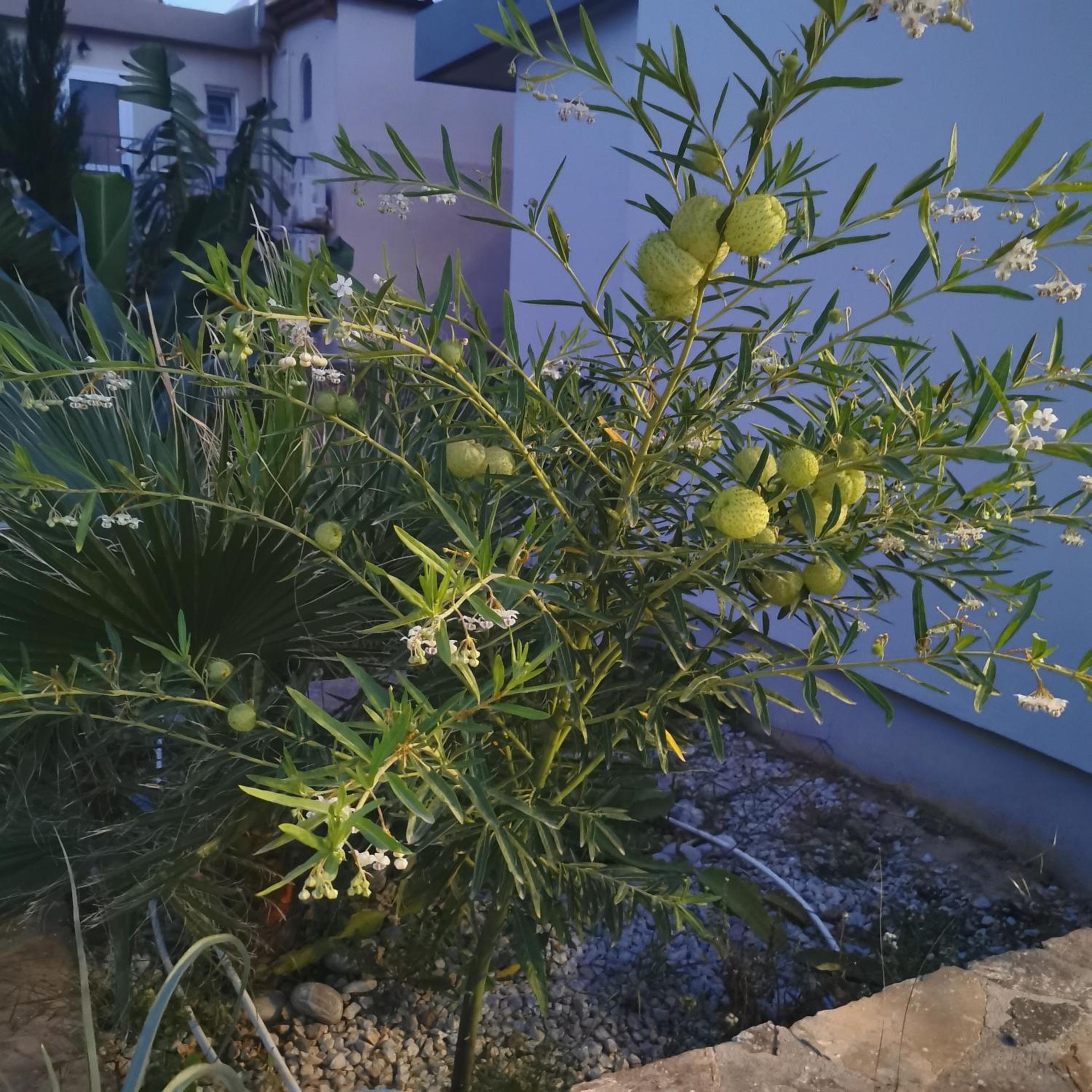 Photo 34
