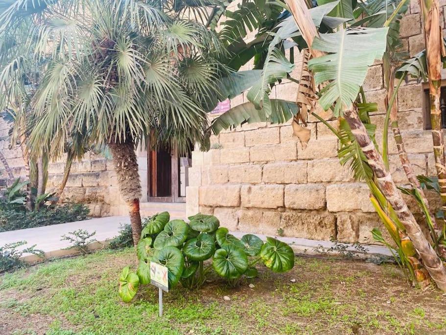 Apartamento ALMARIYYAT