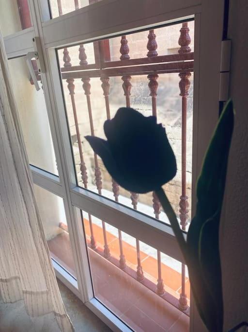 Apartamento ALMARIYYAT