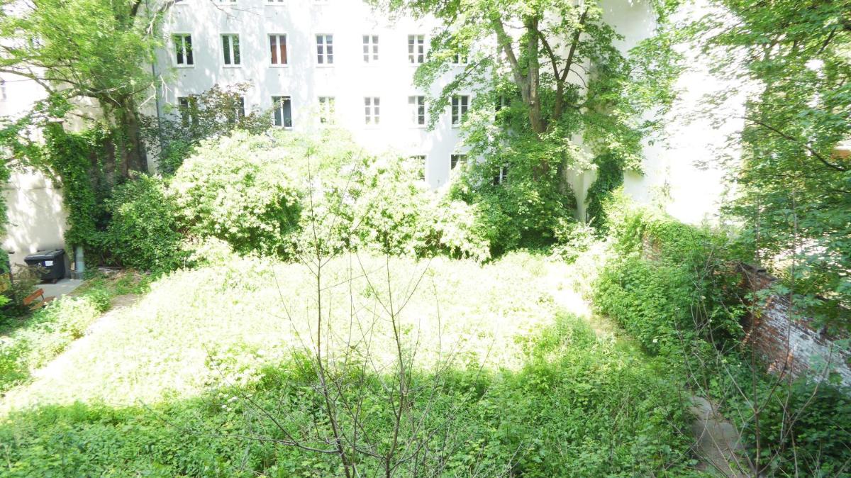 Photo 33