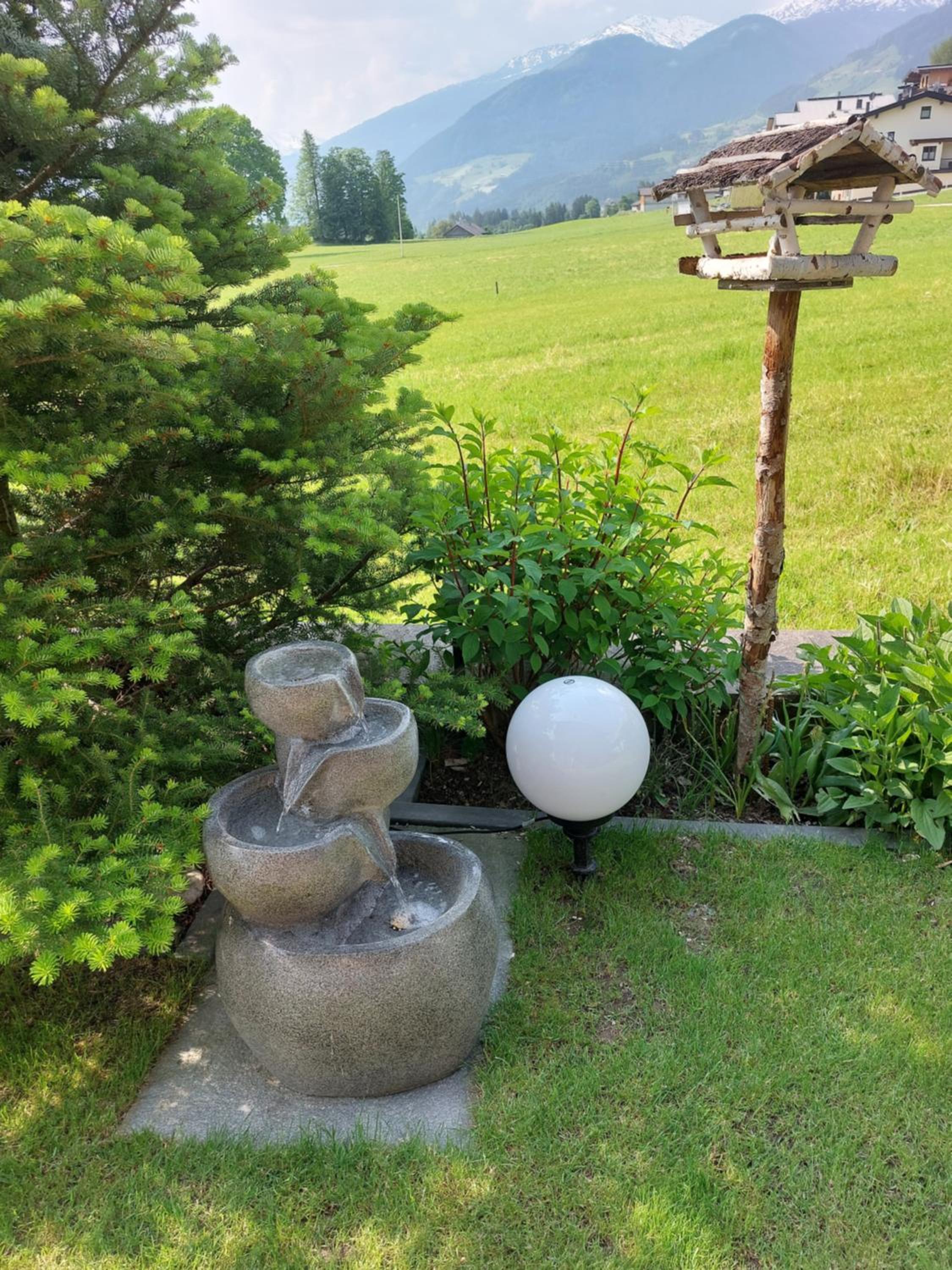 Photo 6